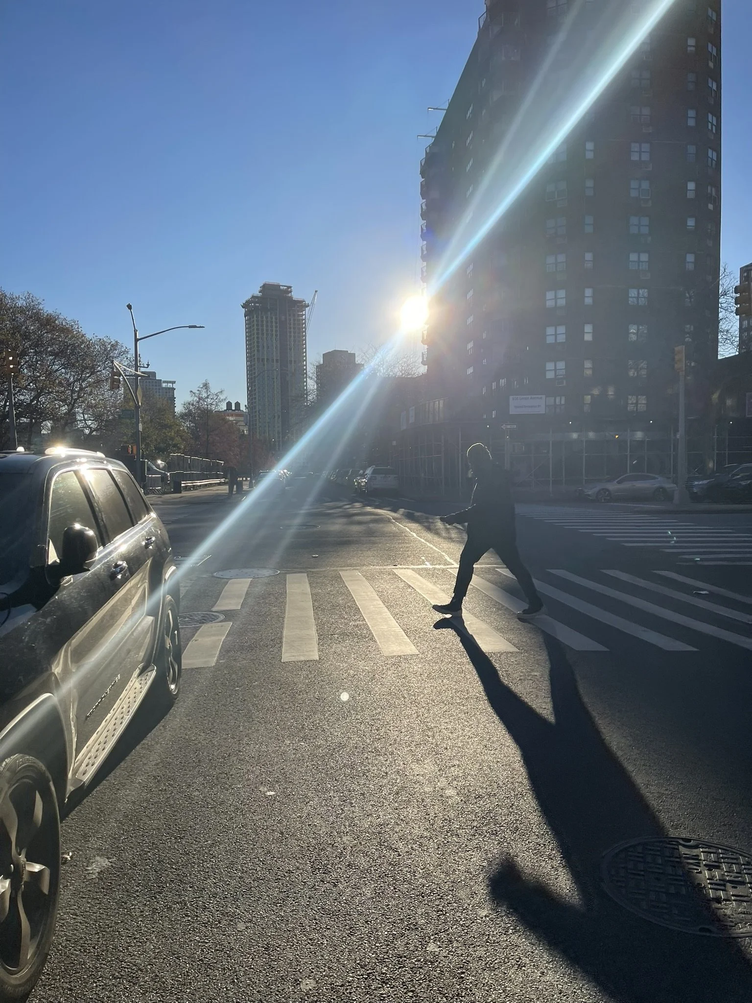 Daily Operation - November 2025