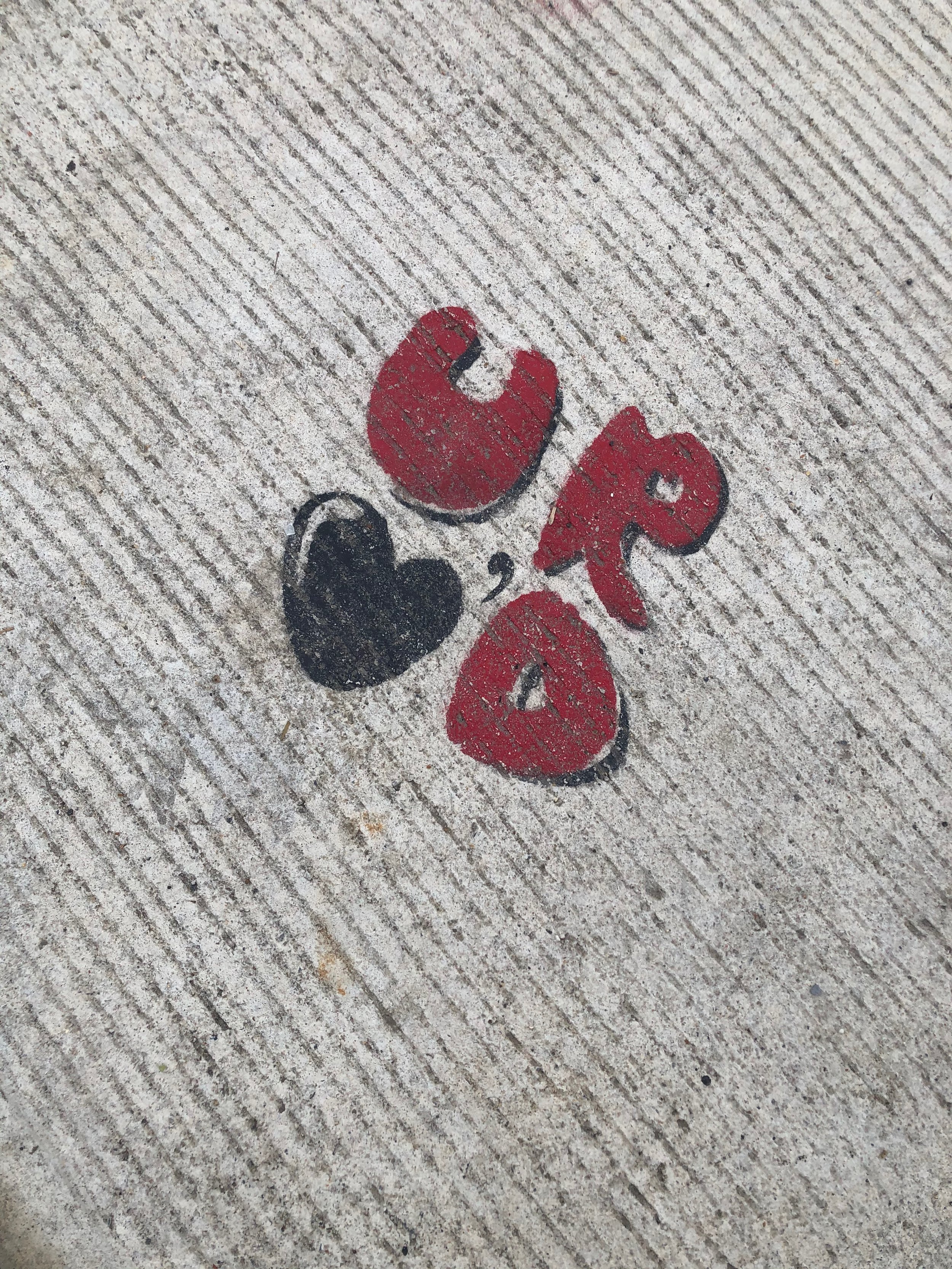 Daily Operation ⏪ February 2020