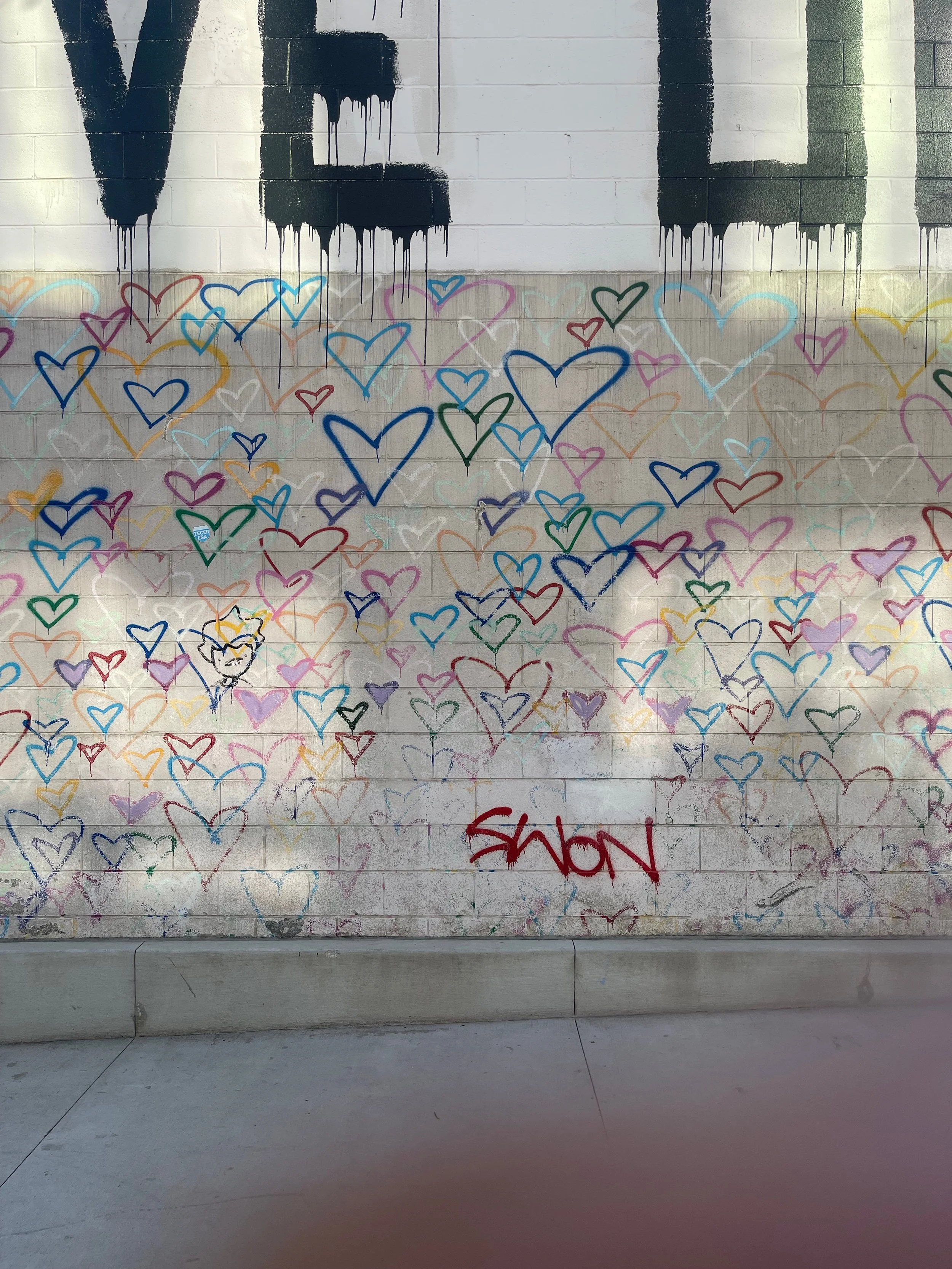 2026 : 1st Quarter Check-in