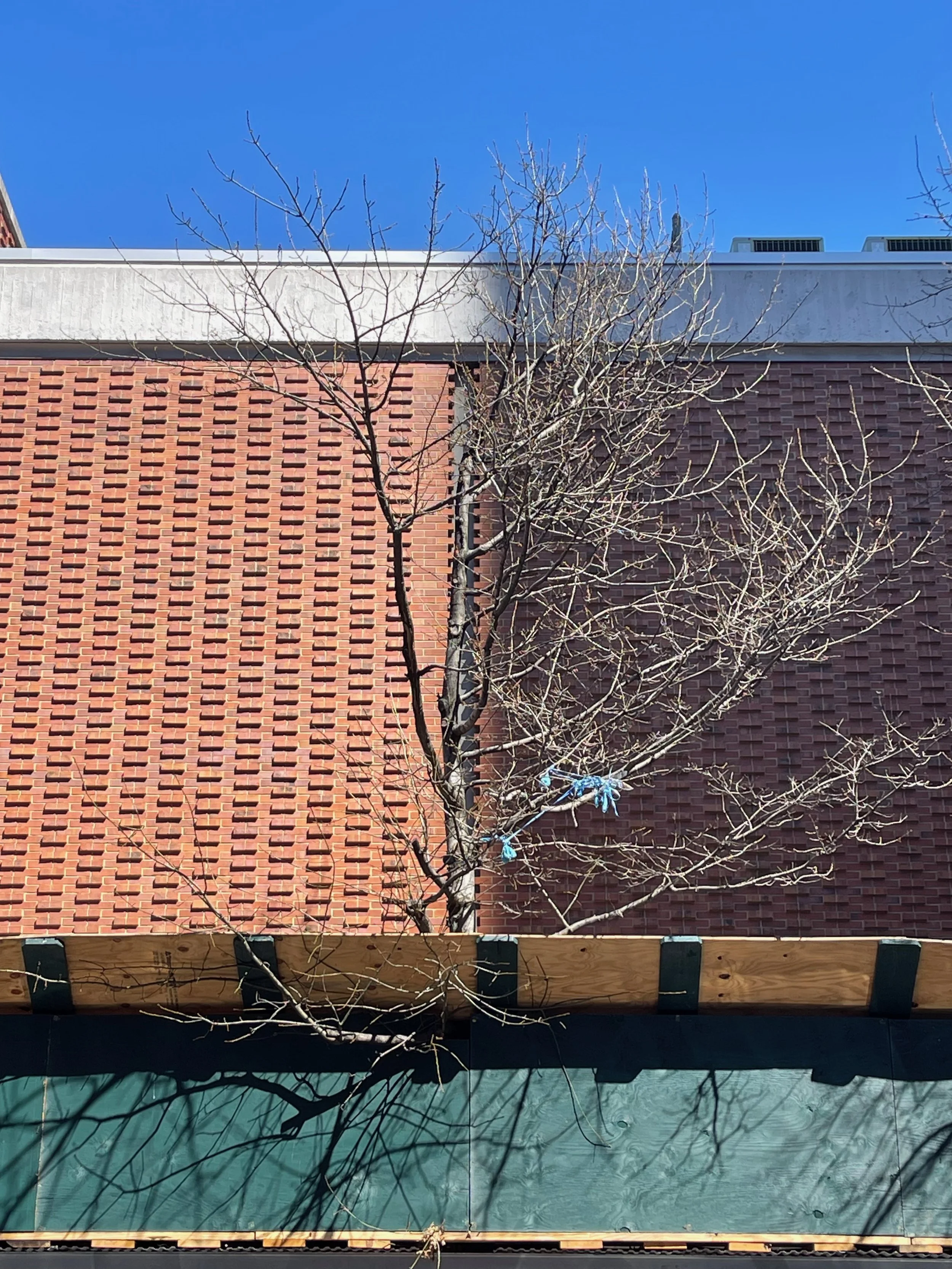 E 127th &amp; Madison Ave. - Harlem, USA