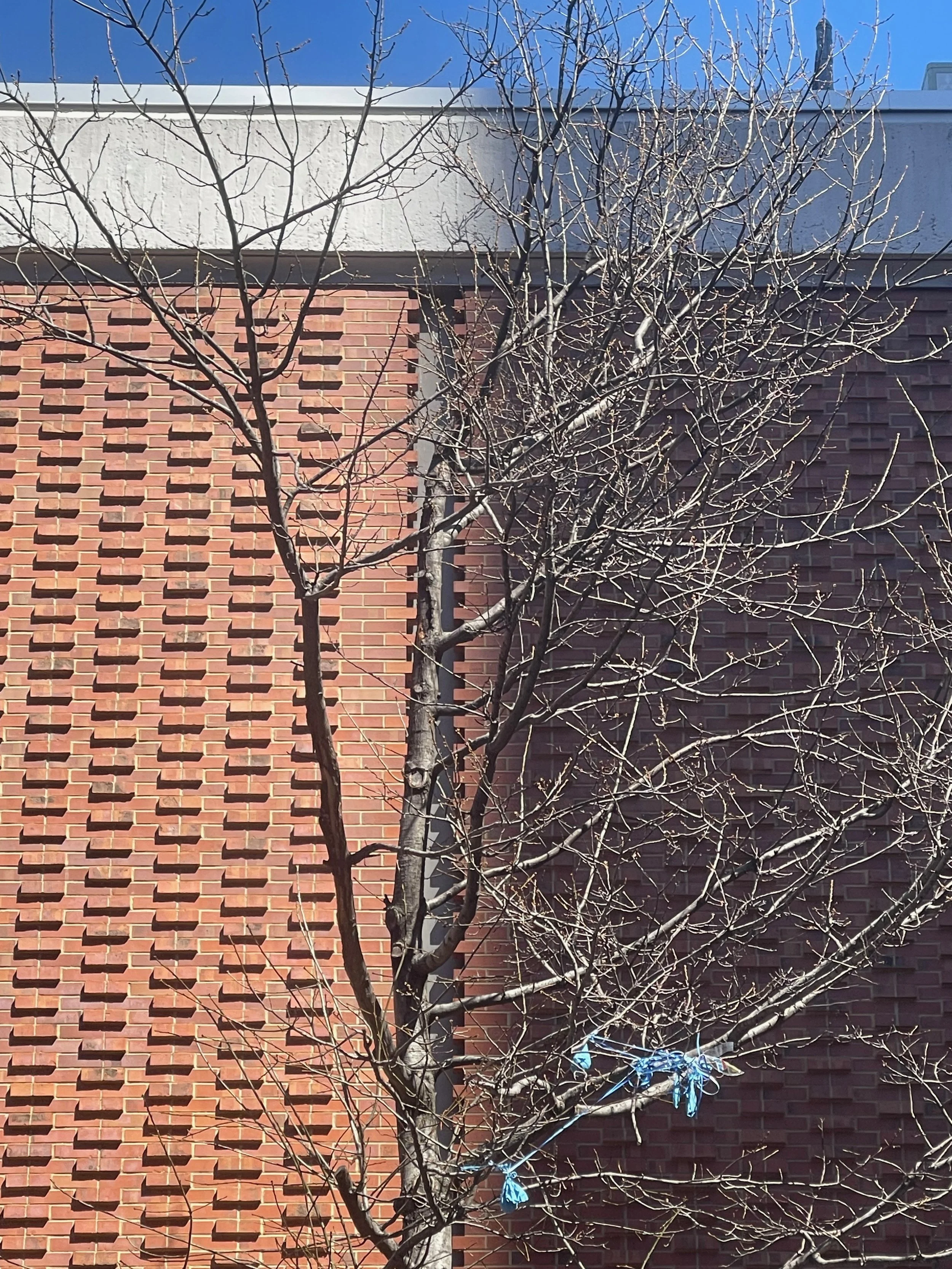 E 127th &amp; Madison Ave. - Harlem, USA