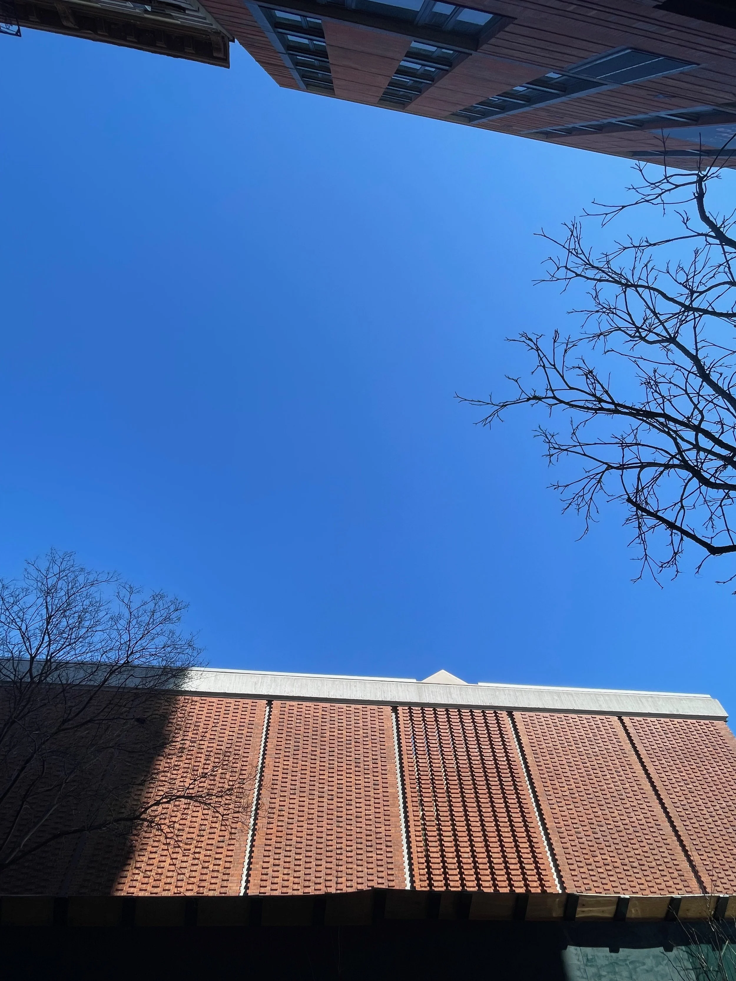 E 127th &amp; Madison Ave. - Harlem, USA