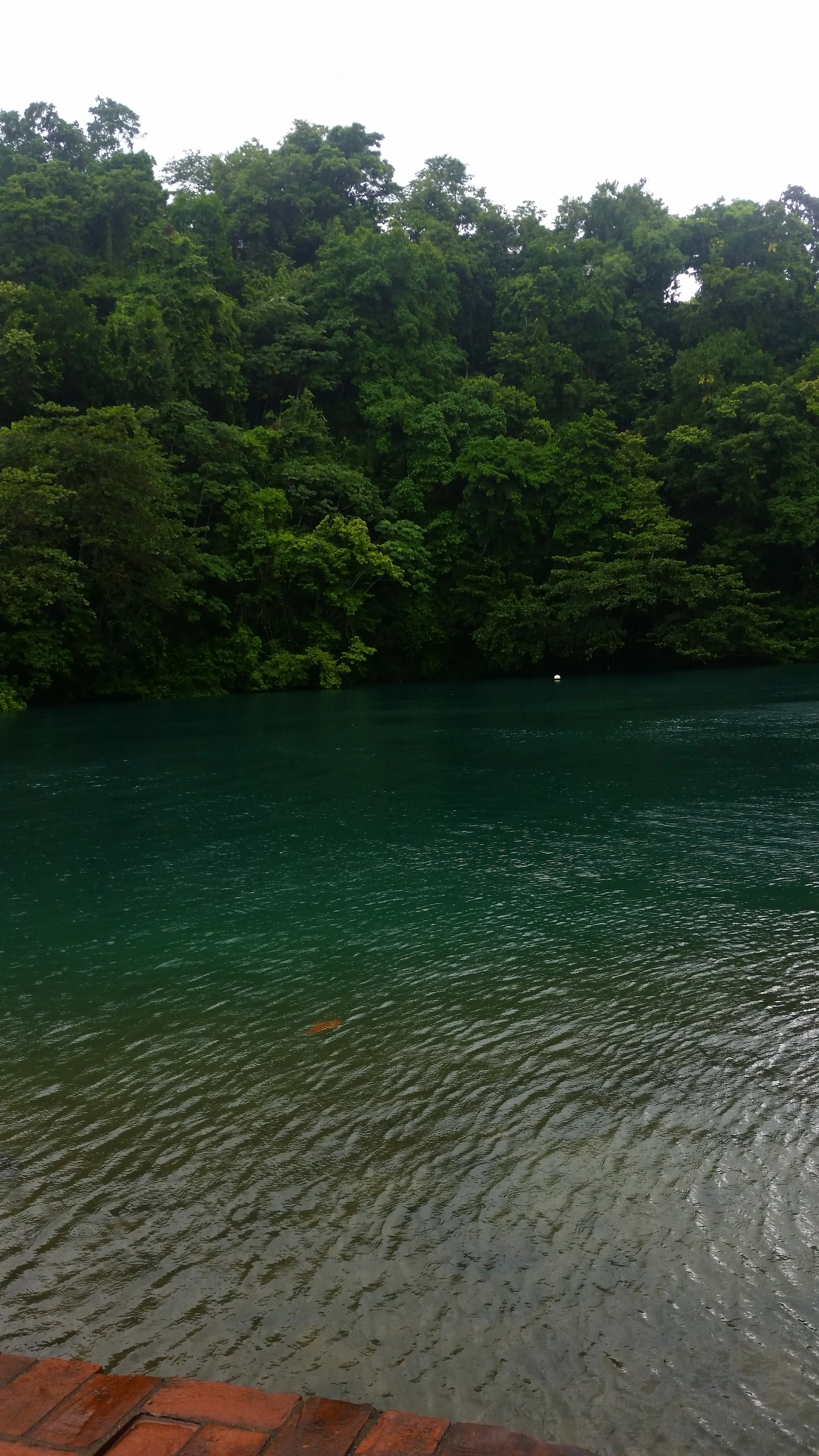 20170930_143706.jpg