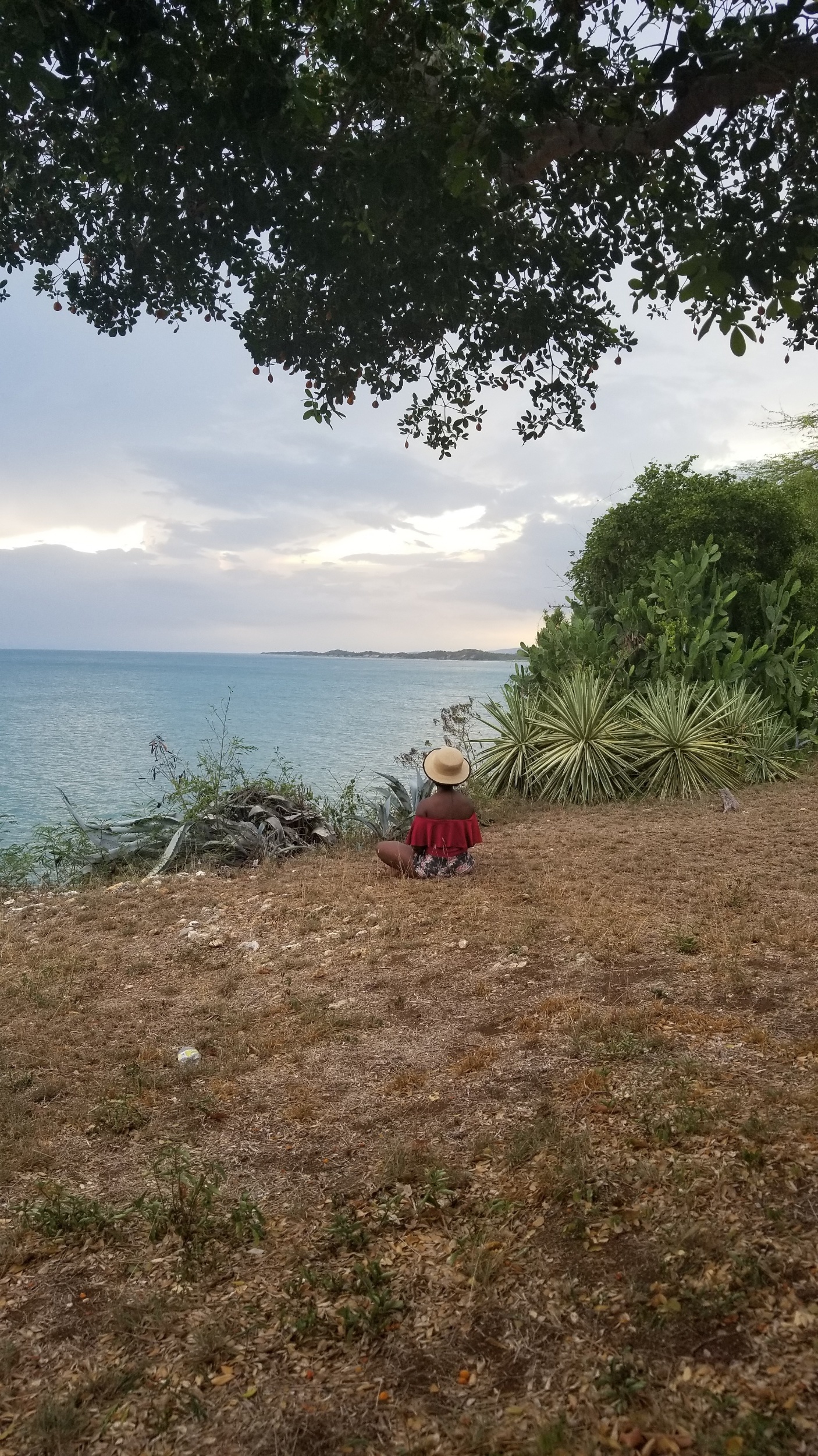 processed_20190713_180429(0).jpg