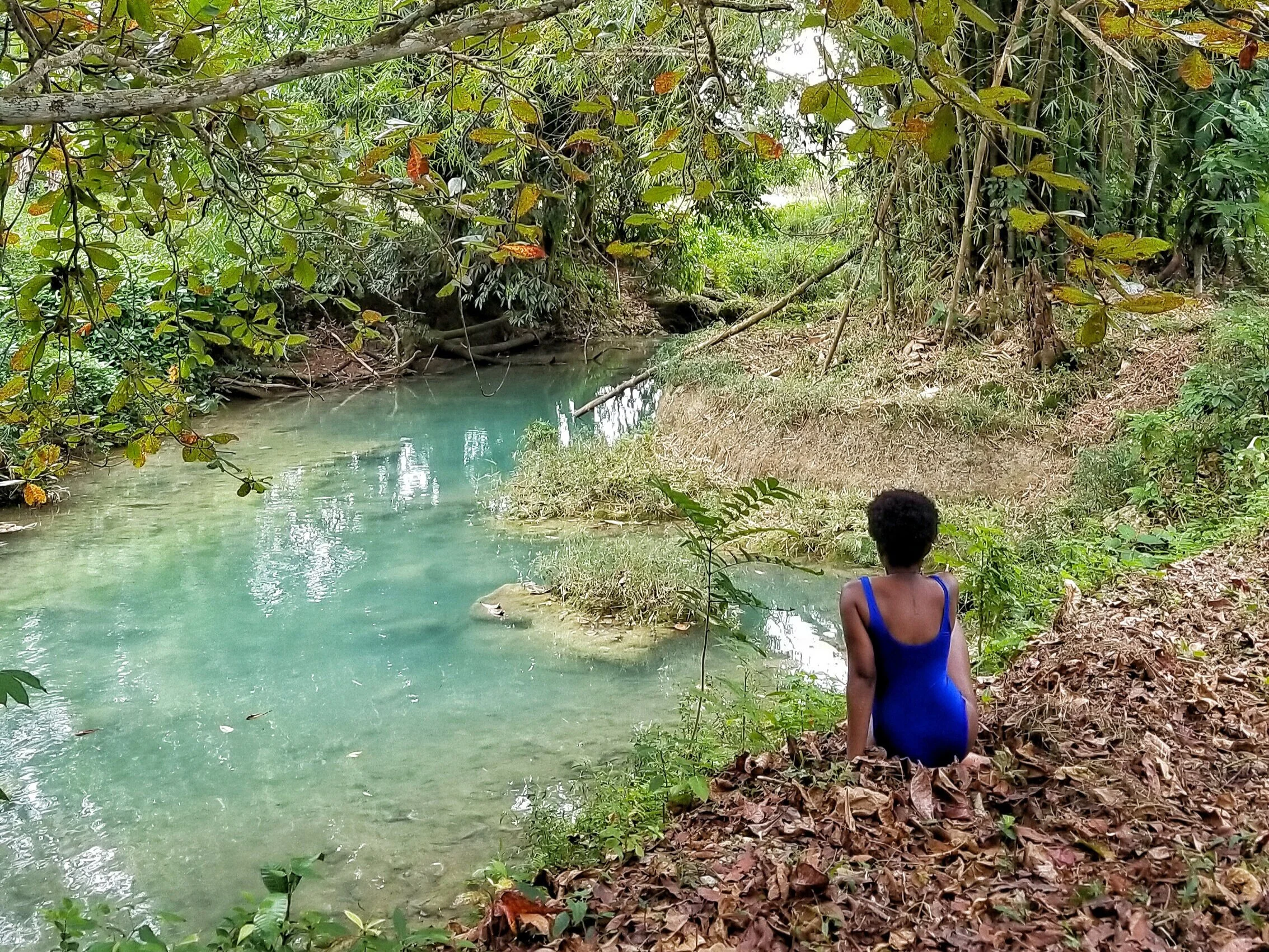 A voyage to Breadnut Valley Falls in St.Elizabeth