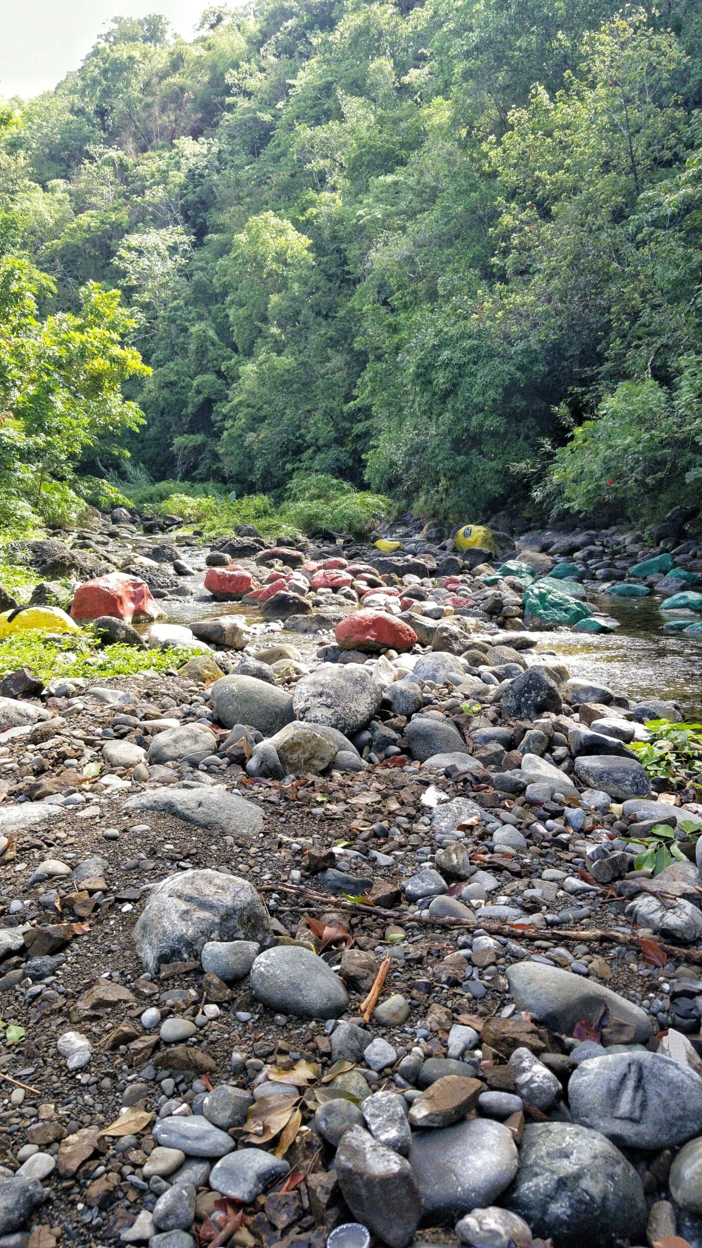 Another Hidden Gem Sunning Hill Waterfall St.Thomas — Nature's Sweet