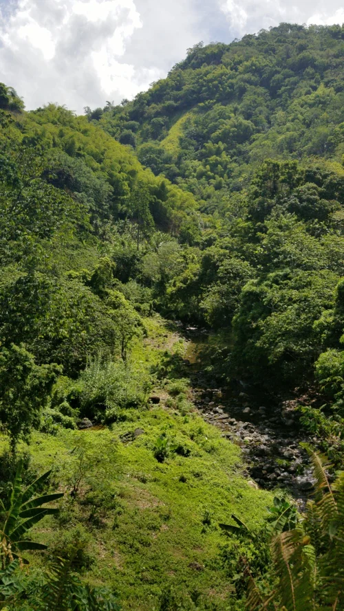 Another Hidden Gem Sunning Hill Waterfall St.Thomas — Nature's Sweet