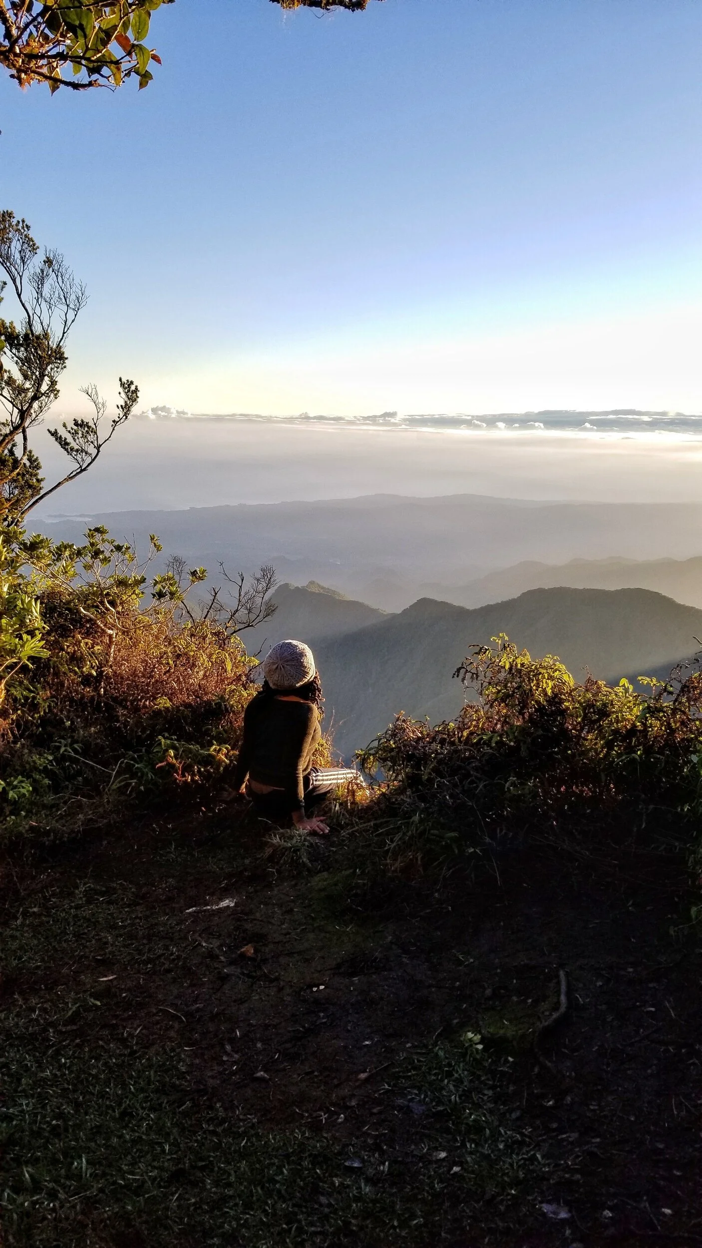 Blue Mountain Peak: An Adventure I will never forget