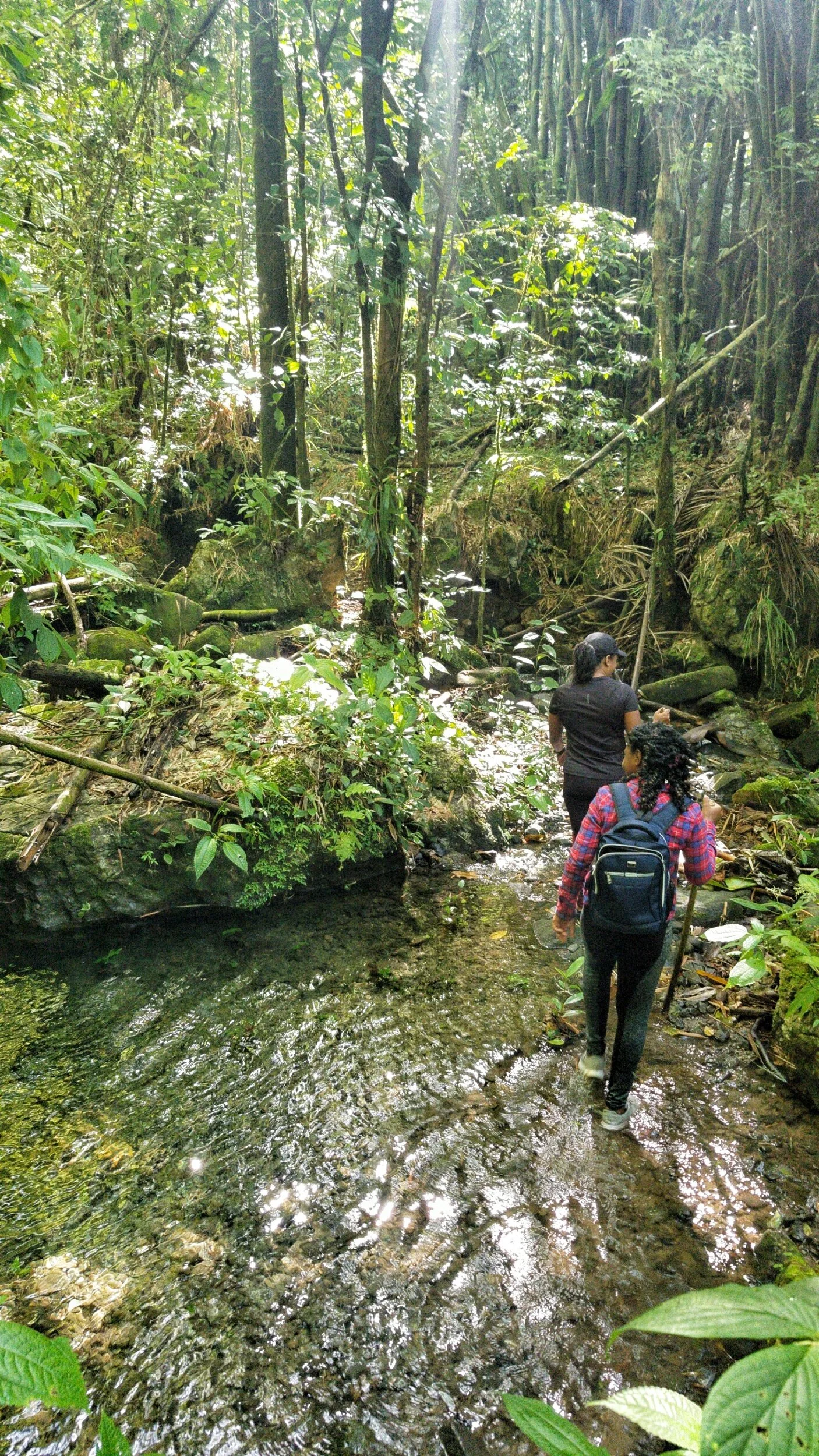 The Majestic Bernard Spring WaterFall — Nature's Sweet Escapes