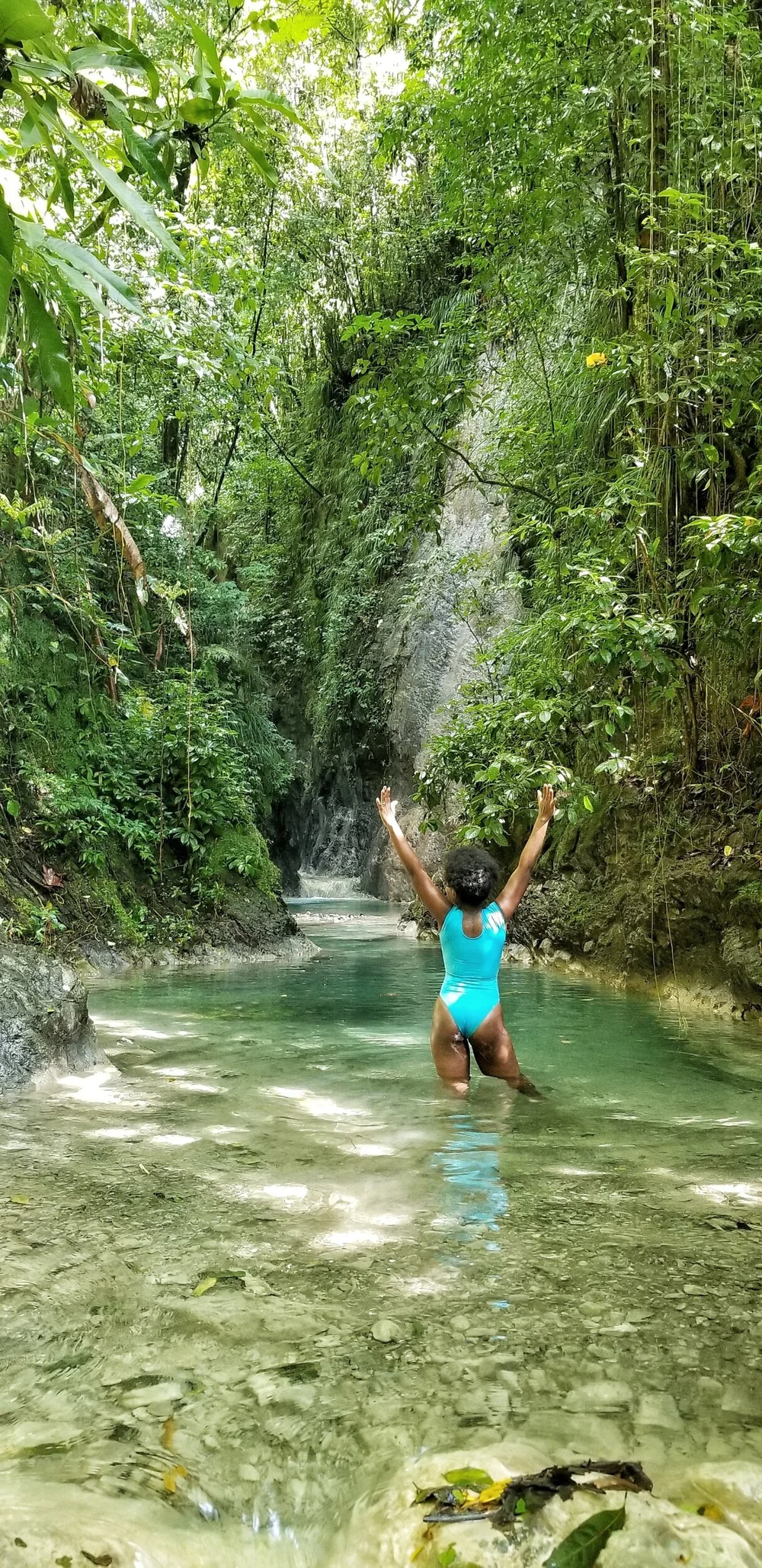 Fish Dunn Waterfall Bath Mineral Spring/Bath Fountain in St.Thomas — Nature's Sweet Escapes