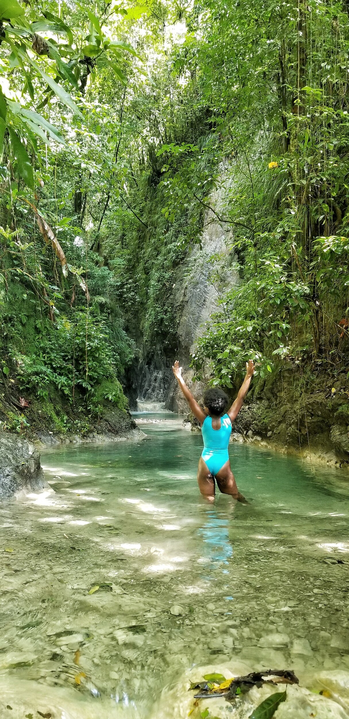 Fish Dunn Waterfall Bath Mineral Spring/Bath Fountain in St.Thomas — Nature's Sweet Escapes