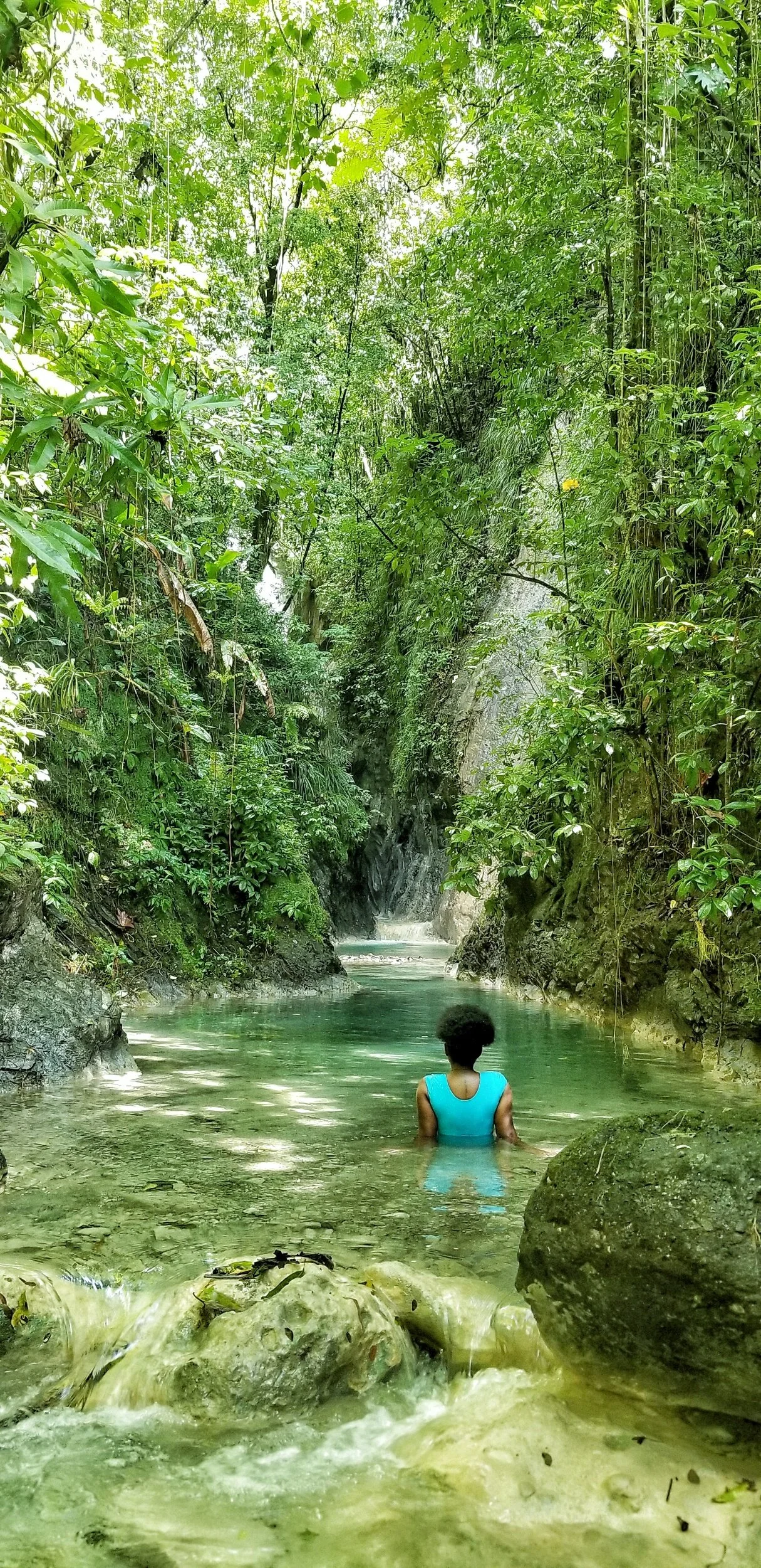 Fish Dunn Waterfall Bath Mineral Spring/Bath Fountain in St.Thomas — Nature's Sweet Escapes