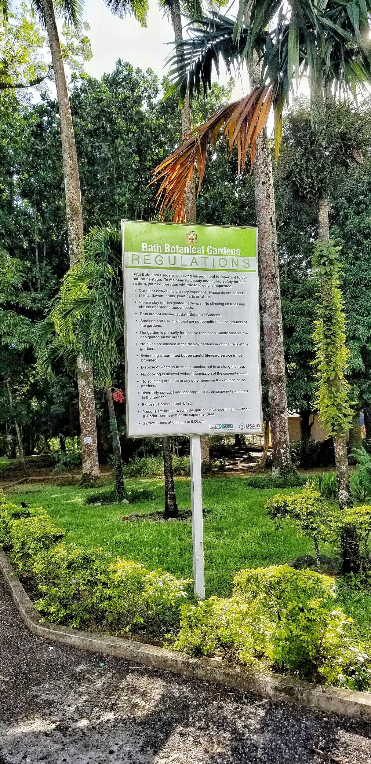 Fish Dunn Waterfall Bath Mineral Spring/Bath Fountain in St.Thomas — Nature's Sweet Escapes