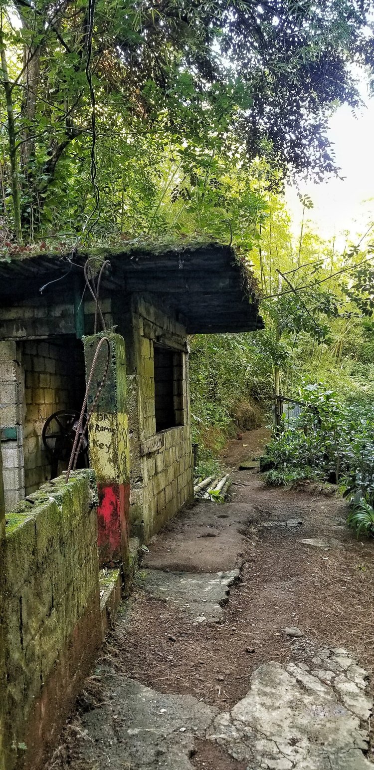 Fish Dunn Waterfall Bath Mineral Spring/Bath Fountain in St.Thomas — Nature's Sweet Escapes