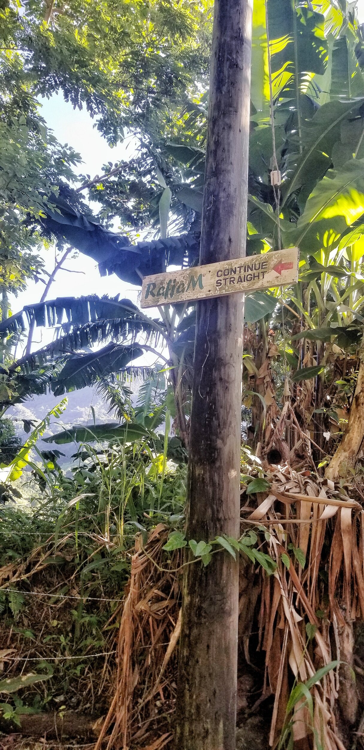 My first time exploring the Majestic Raf Jam Waterfall — Nature's Sweet Escapes