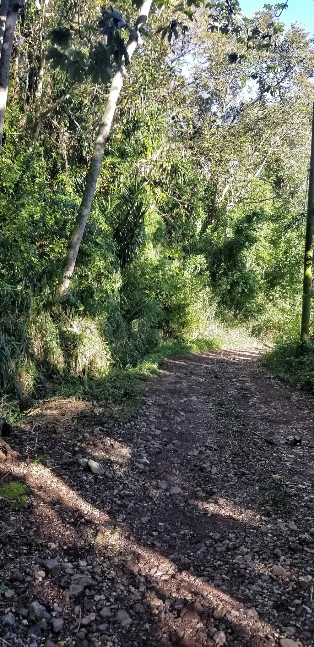 My first time exploring the Majestic Raf Jam Waterfall — Nature's Sweet Escapes