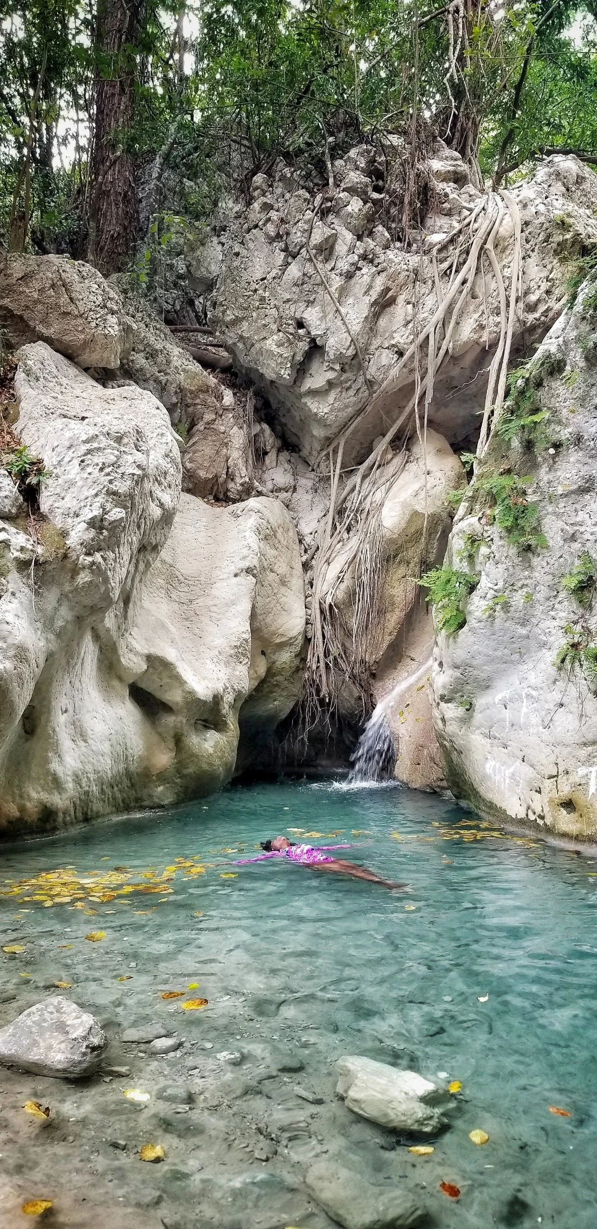 My love Story: Meeting Norris Waterfall For The First Time
