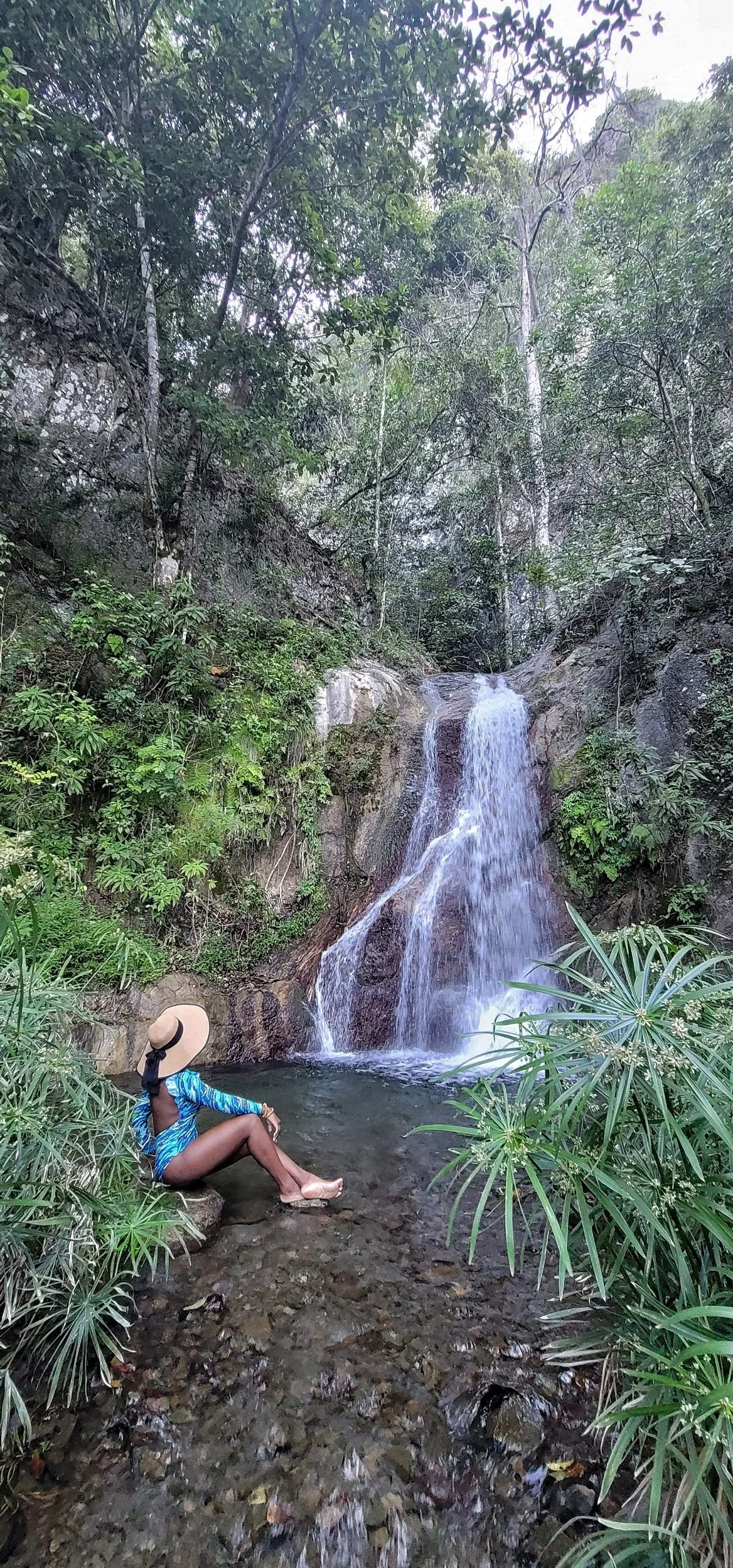 I Cheated Again. Orchid Waterfall in St.Andrew was too gorgeous to resist