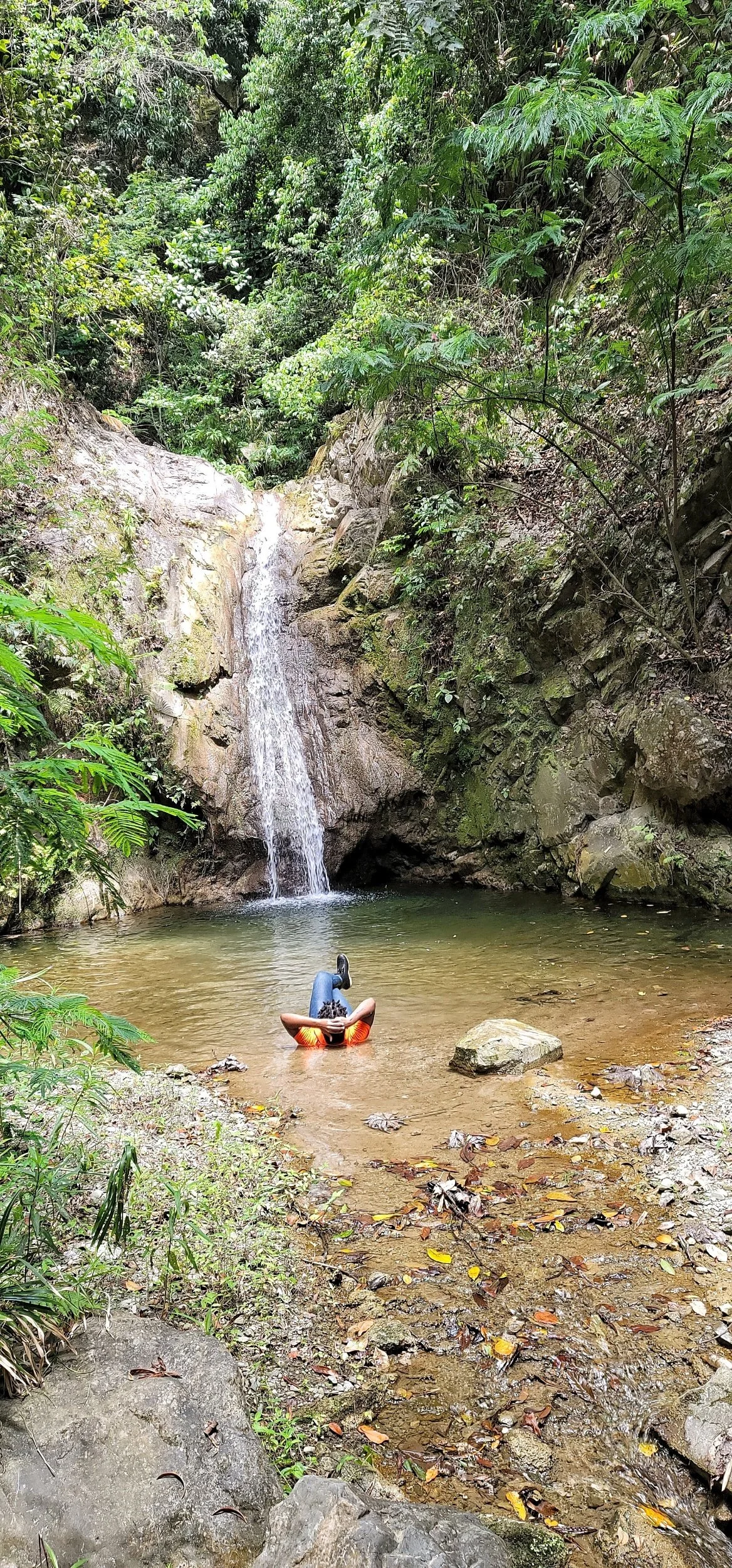 A Captivating Encounter with Fern Fever Waterfall: Embracing Nature's Untouched Beauty