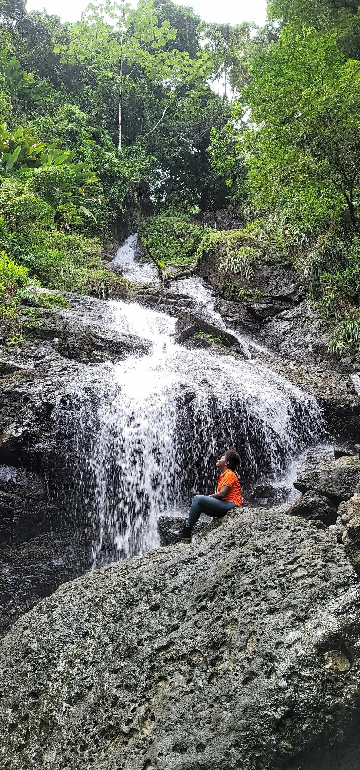                                          Discovering Bagaboo Waterfall: A Journey into the Heart of St. Thomas