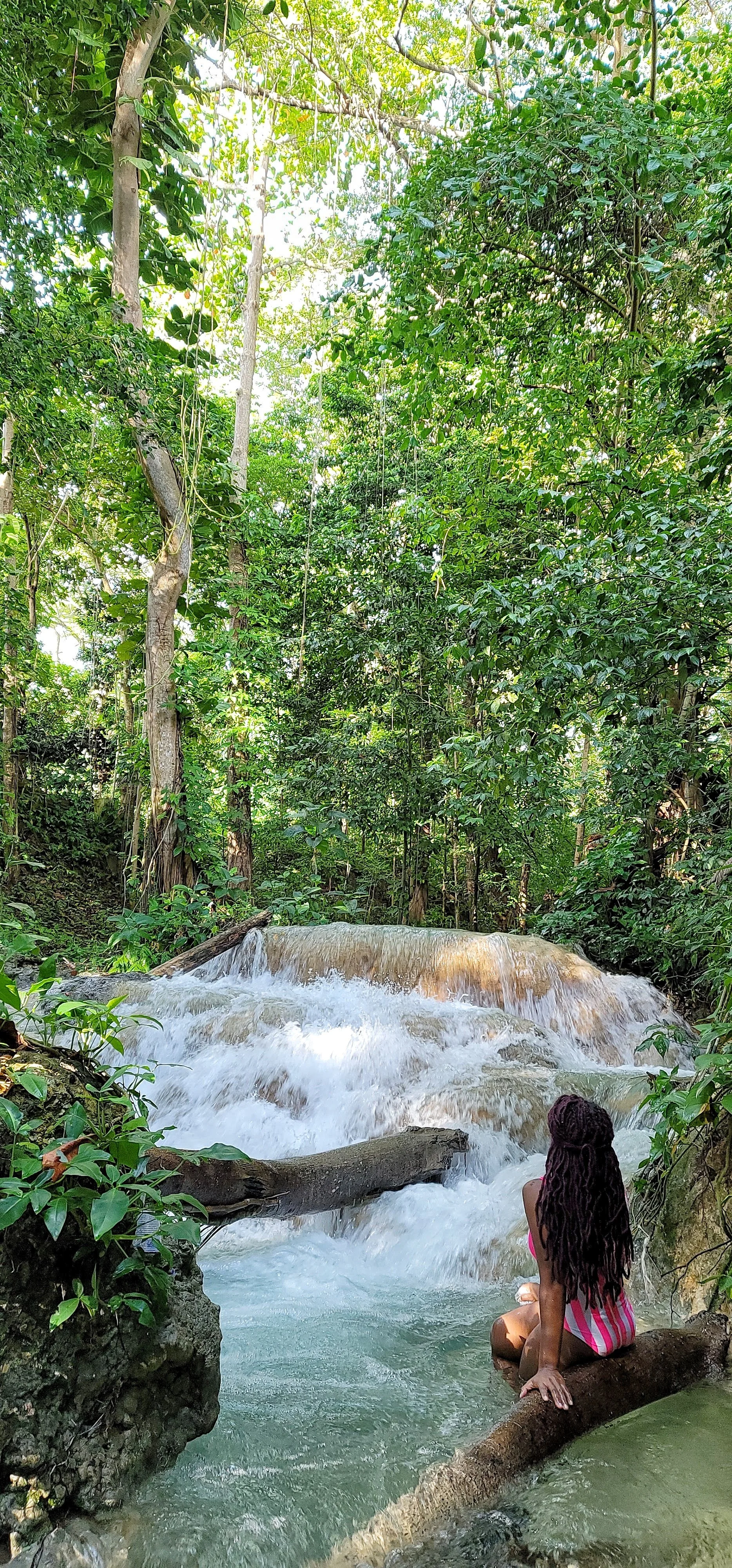 Falling in Love with Nature: A Journey to Bluefields River in Jamaica