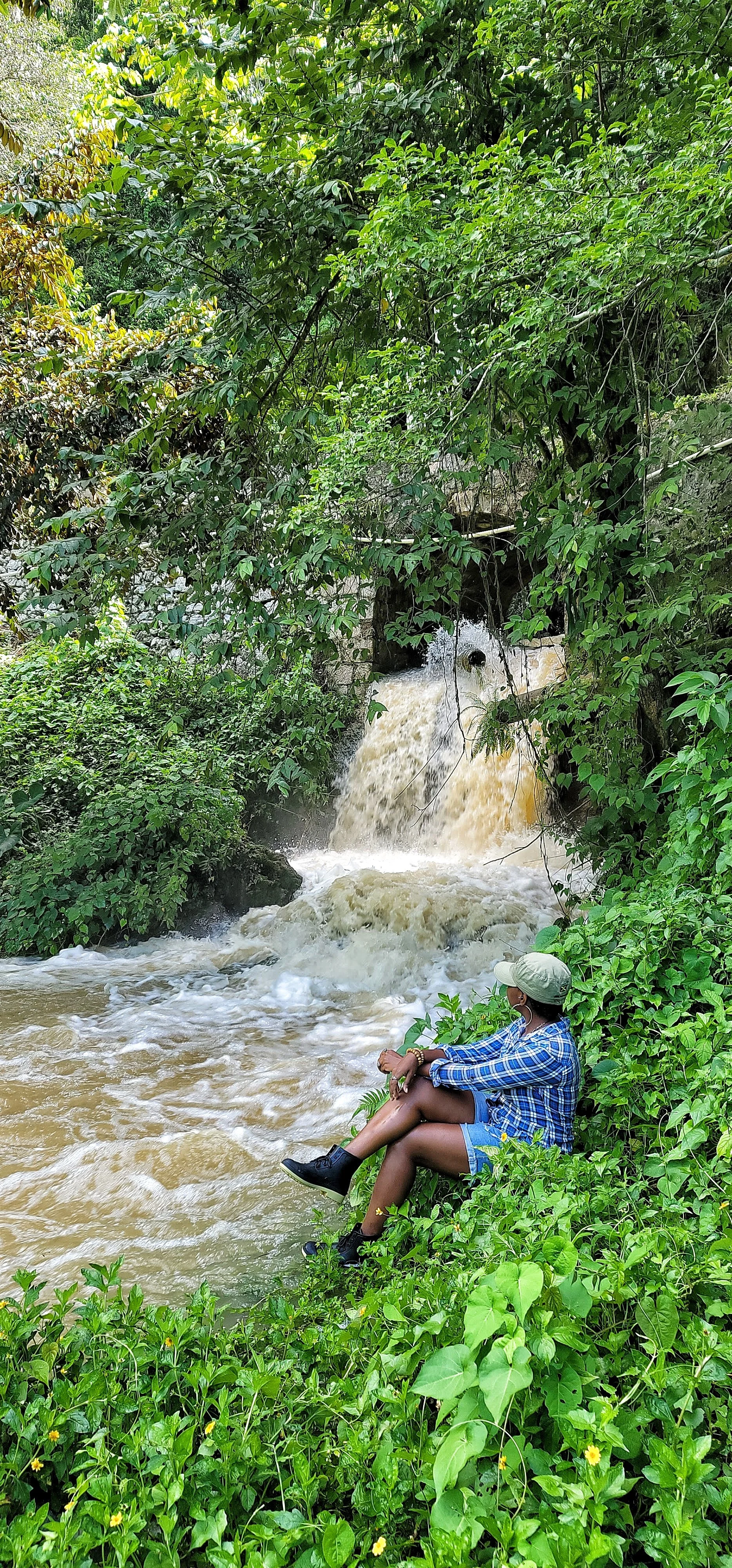 Exploring Hidden Gems: A Journey Through Trelawny's Treasures