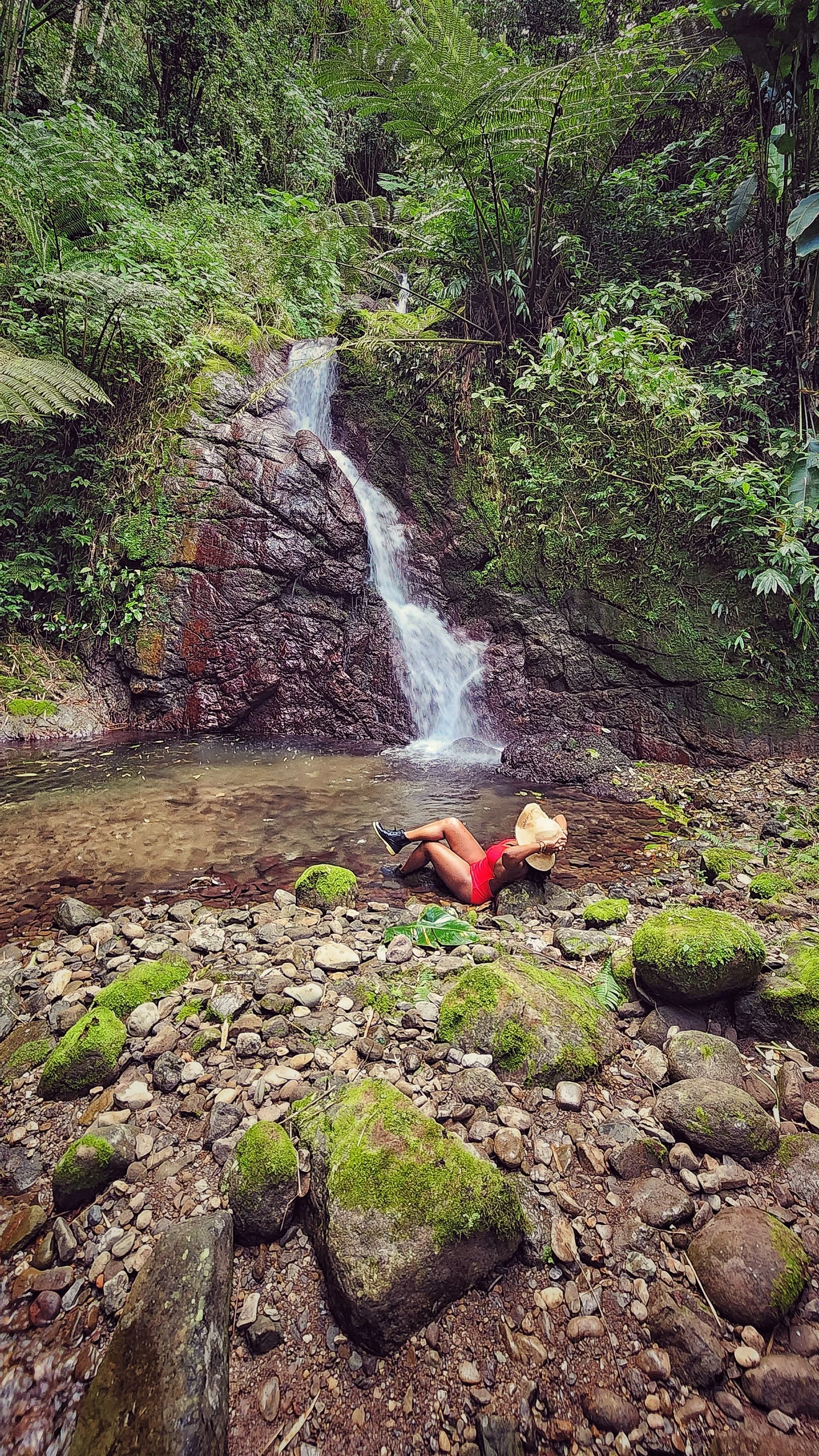 Exploring Mount Airy: A Hidden Gem for Nature Lovers