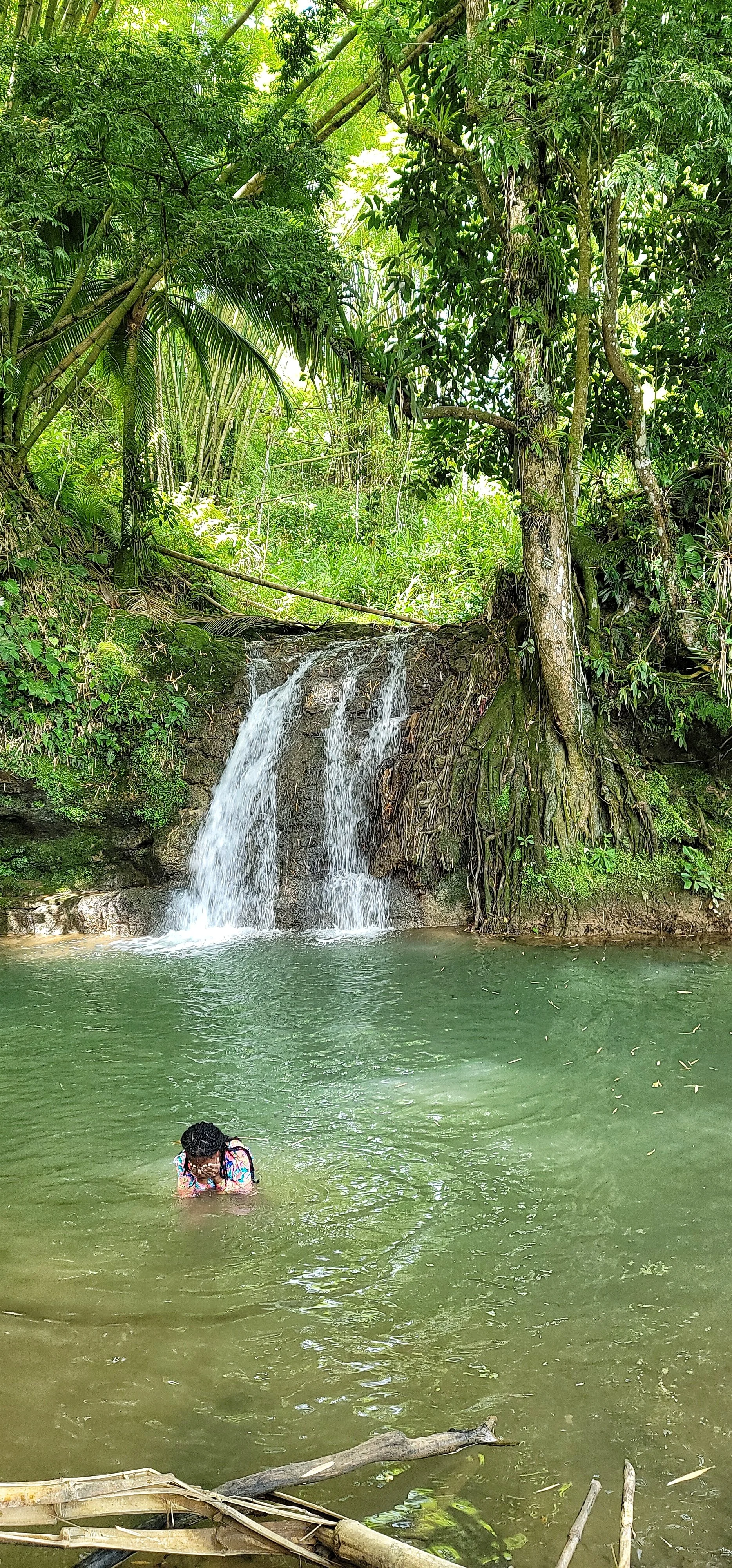 Exploring the Hidden Gem of Tangle River in Montego St. James, Jamaica