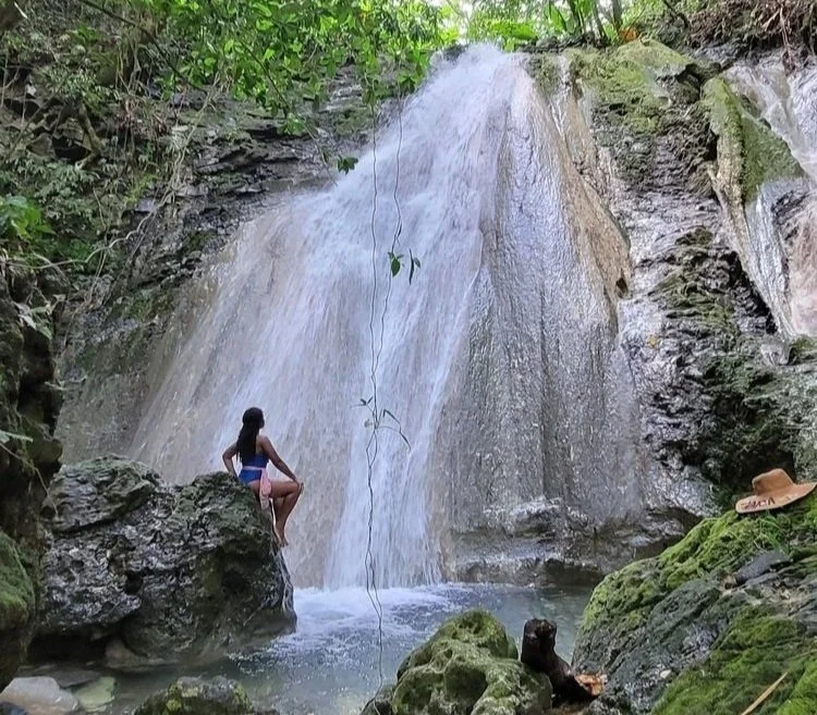 The Fairytale Finale: Waterfall Number Four, Spring Bank