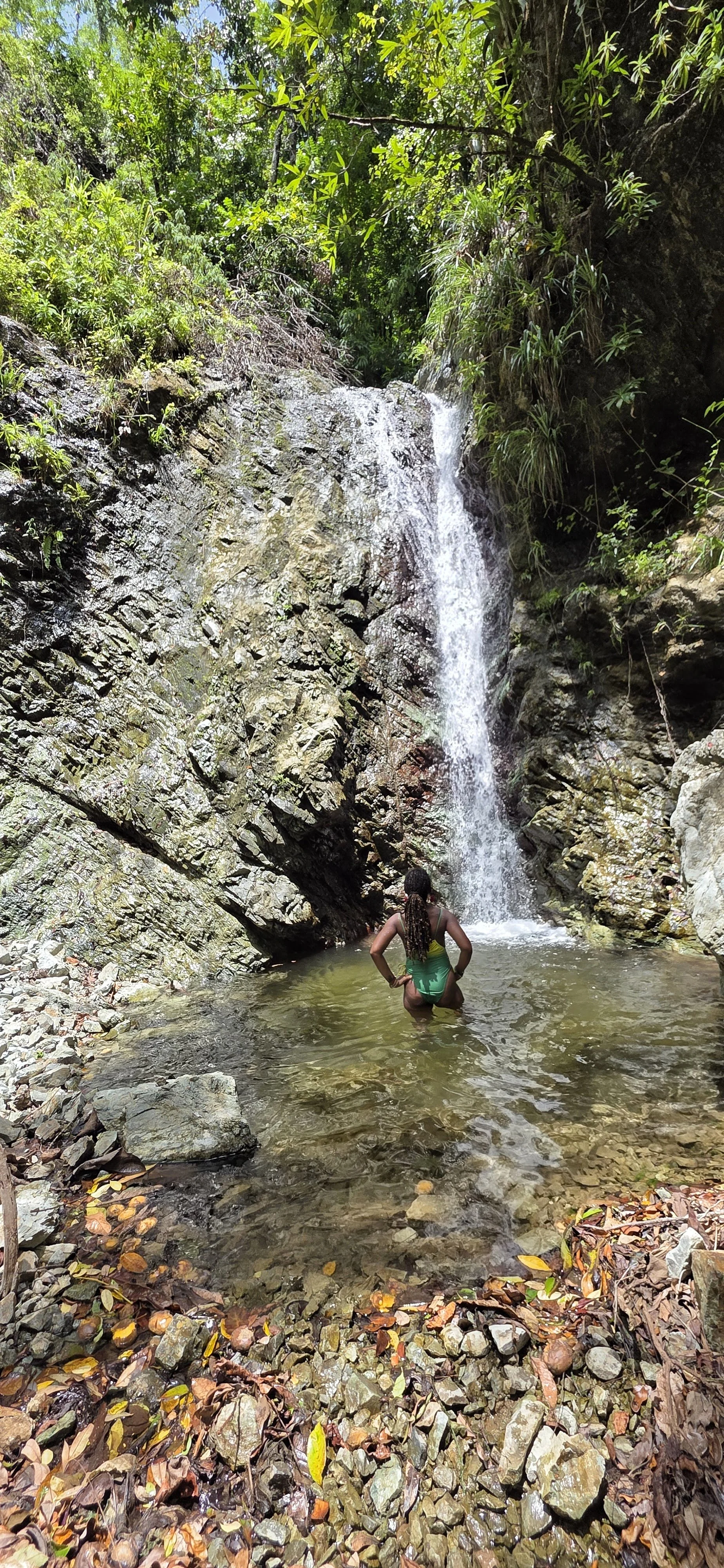 Beyond Reggae Falls