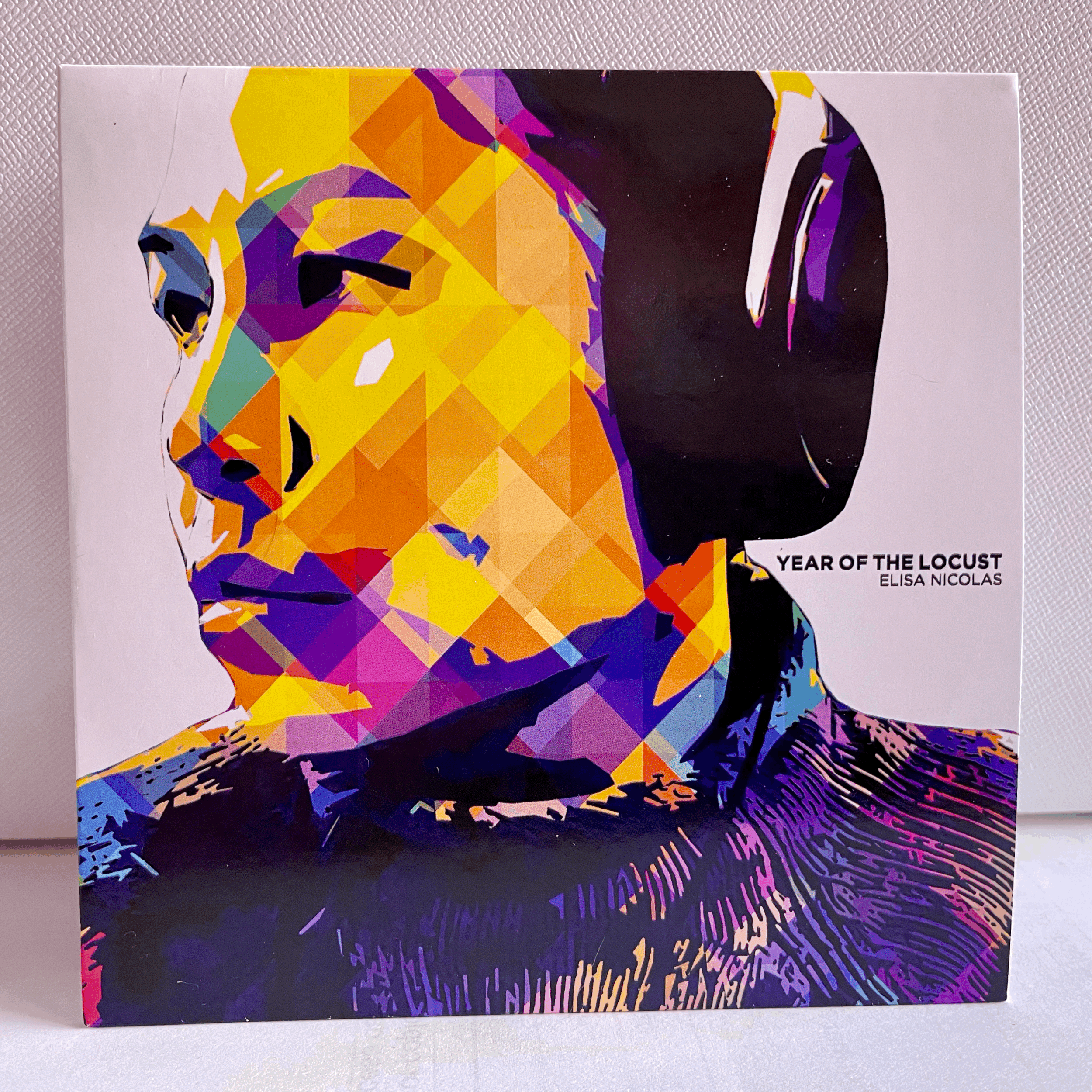 Year of the Locust front cover (Copy)