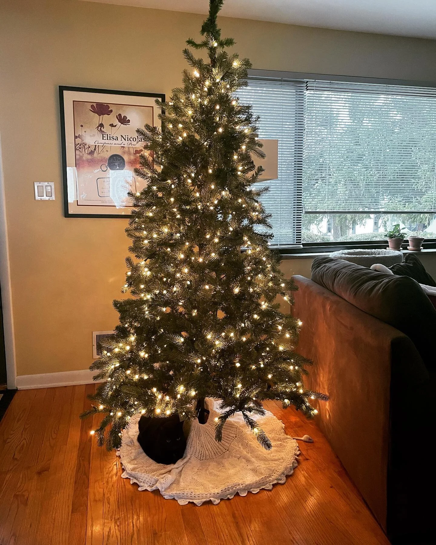 1 present under the tree #catsofinstagram #blackcat #christmastree