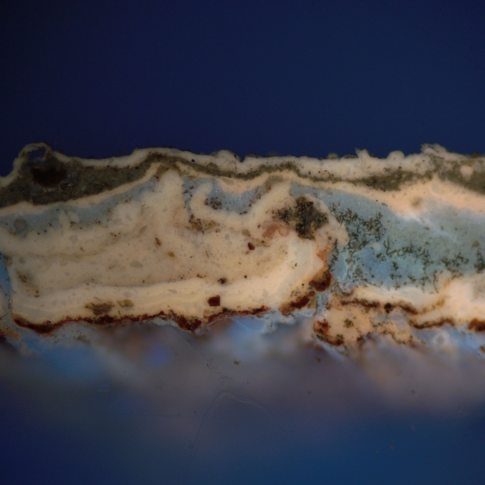 E-6 uv 100x flake.jpg