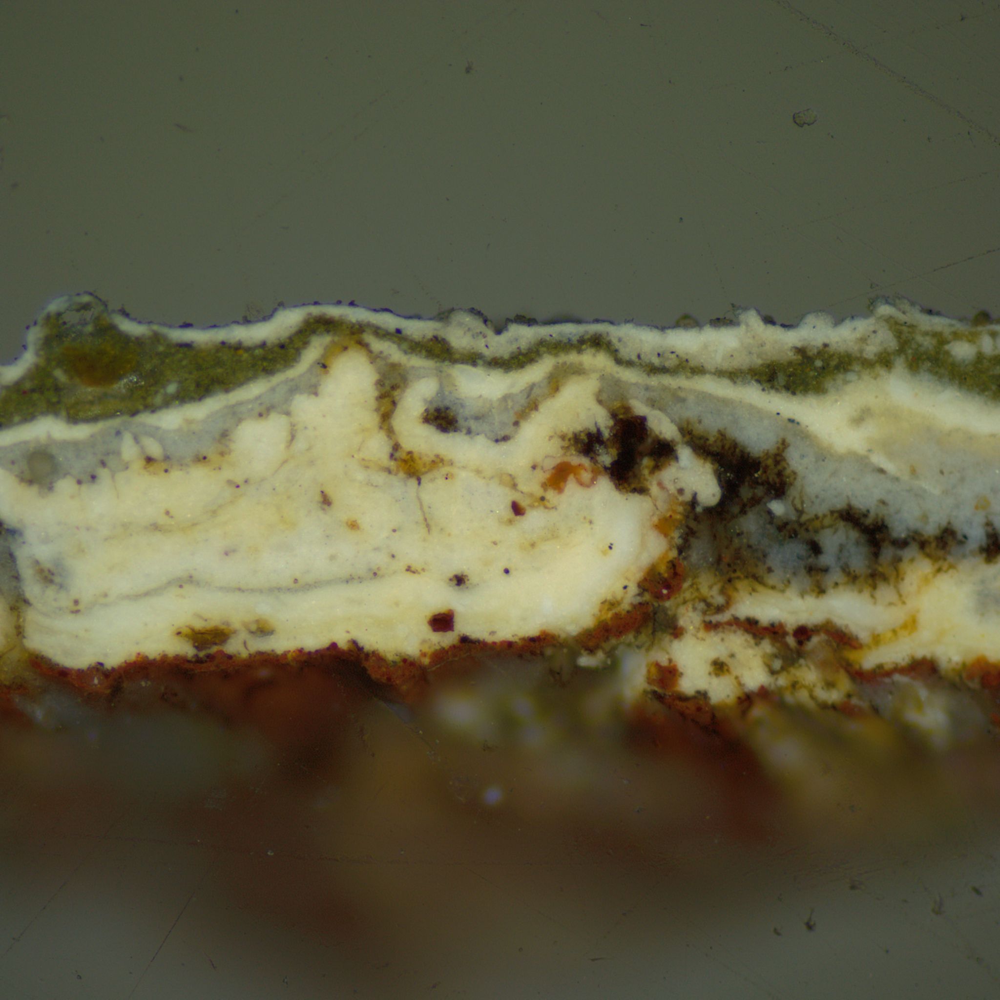 E-6 vis 100x flake.jpg