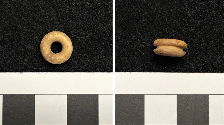 figure 1. bone grommet from cloverfields dining room area.