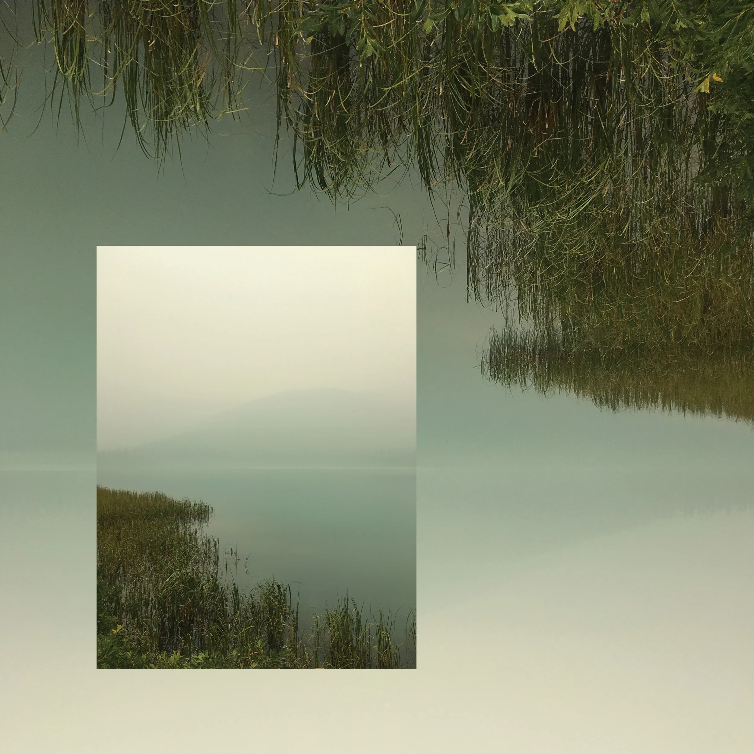 Bioluminescence, the new album from Teen Daze, has been announced.