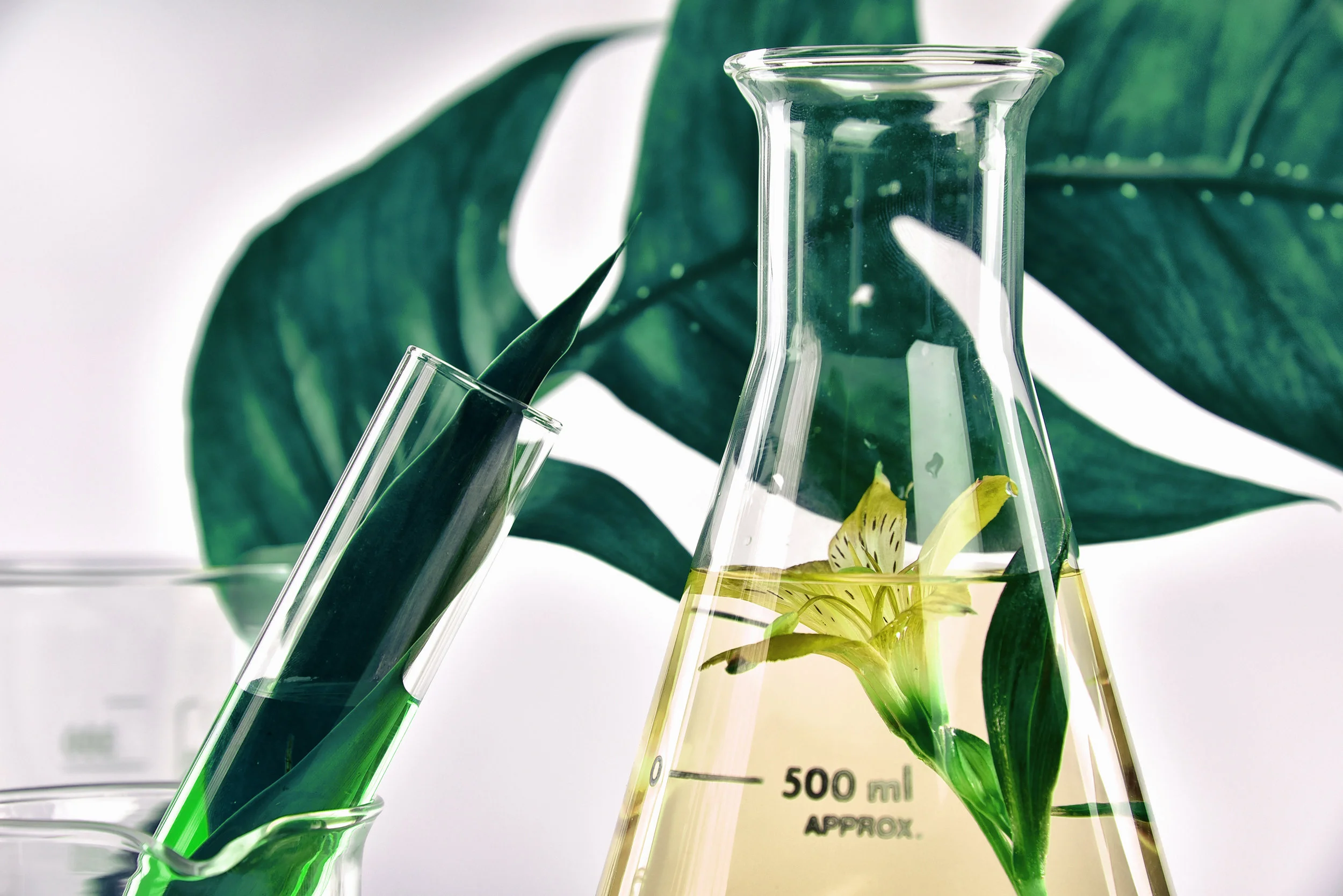 iStock-853963640.jpg