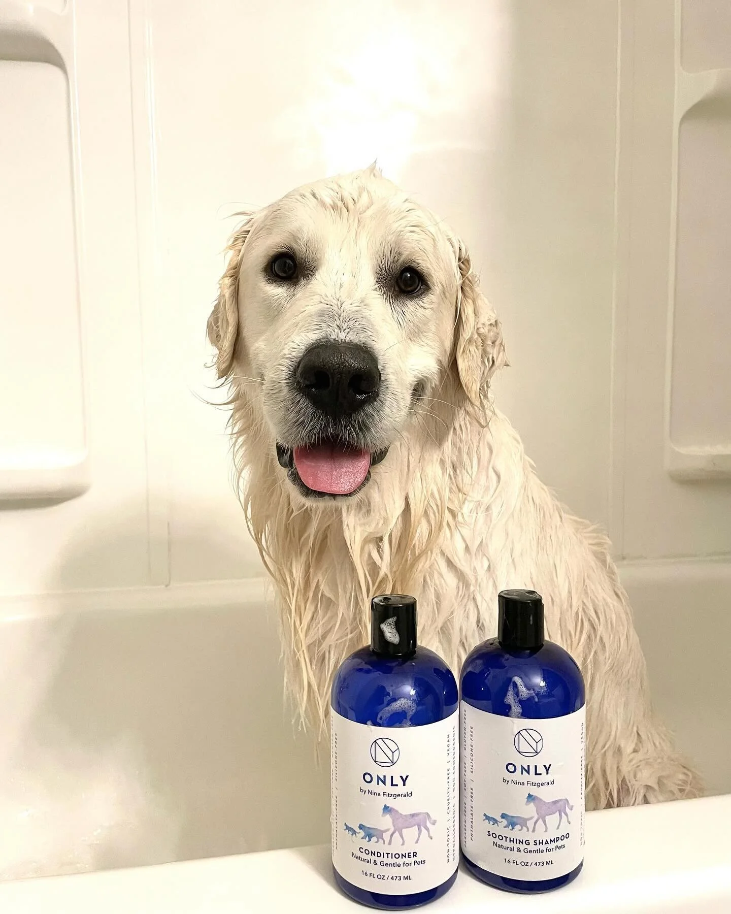 Get EXCITED! ONLY Pet Shampoo and Conditioner if officially launched and is live on the website www.onlybynina.com | want to thank @spookysav for the cutest model we could ever ask for. This formula has the same great benefits as the original formula