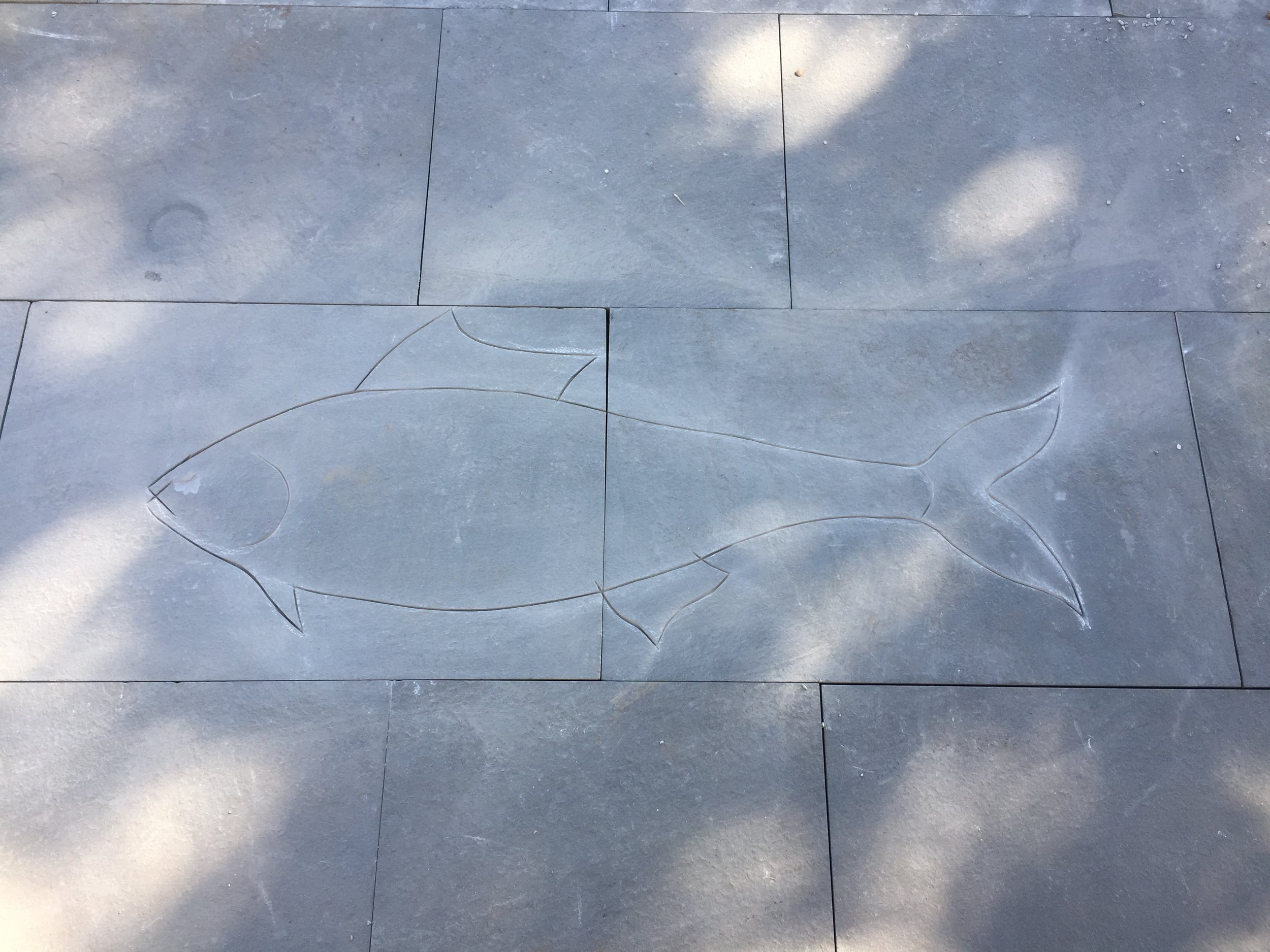  With the patio already installed, Willie’s steady hand cut the outline of the fish with a 4” grinder with a diamond blade.  We liked the way the outline looked so much we thought about leaving the fish like this.  It’s a nice subtle touch we might u