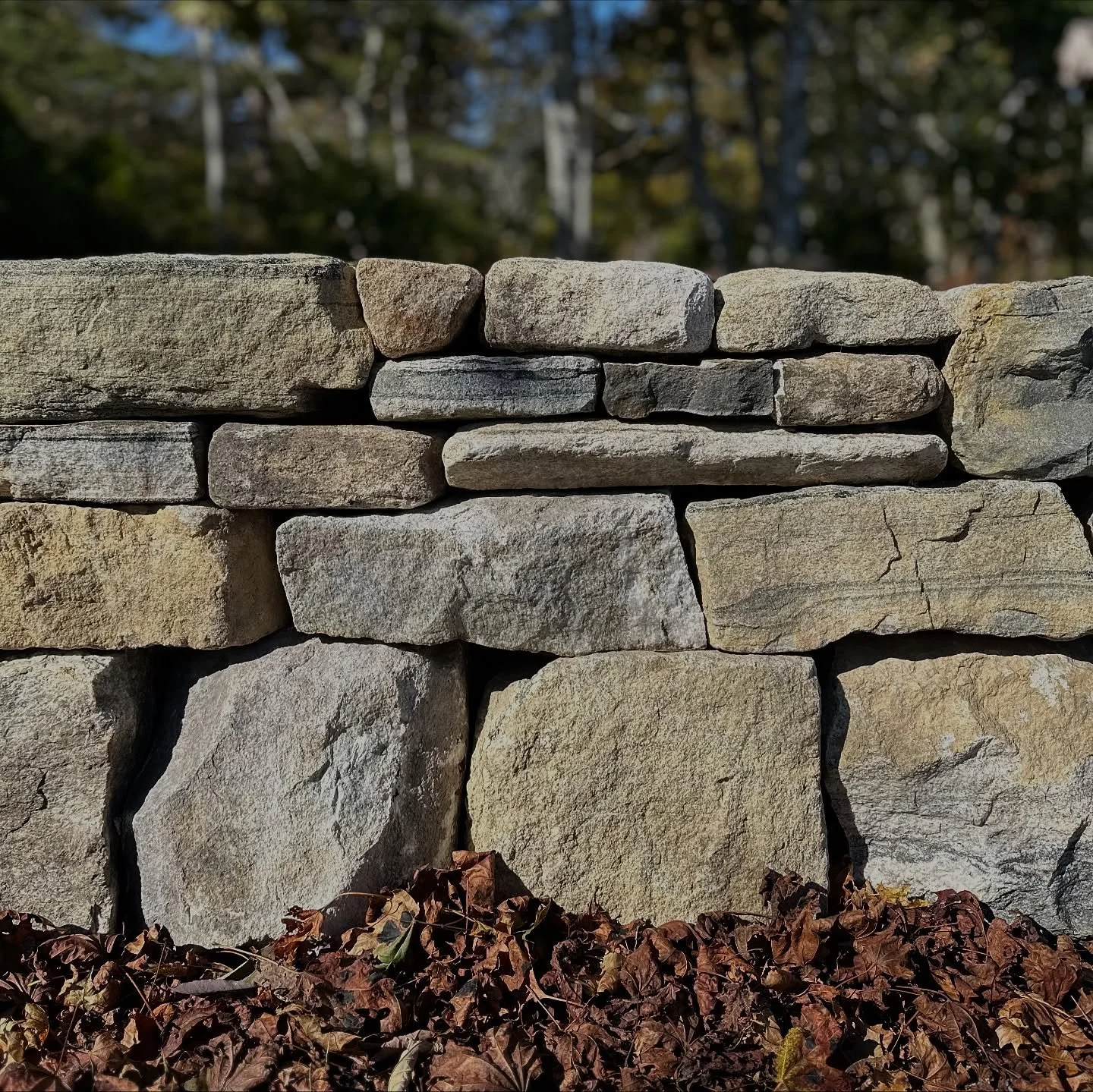 Visiting a dry stone wall on North Haven from earlier this season and planning a new one with @gbr_landscape 

#stonework 
#drystonewall 
#stonemason 
#gardenwall