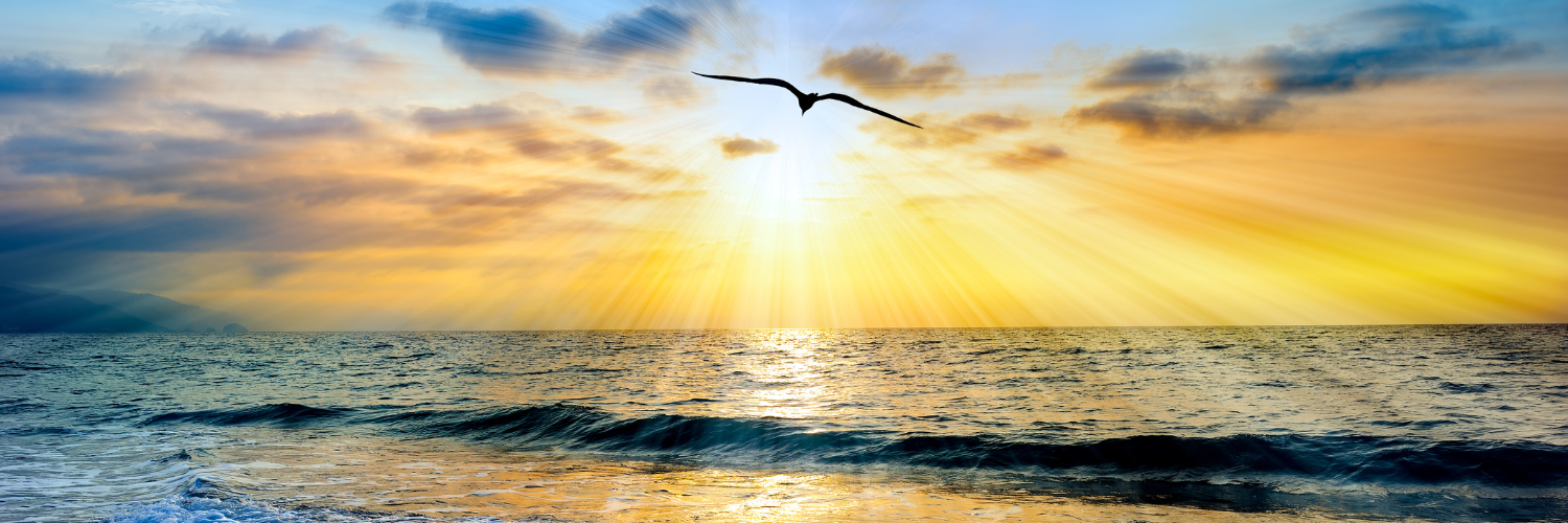 Untitled design (8).png