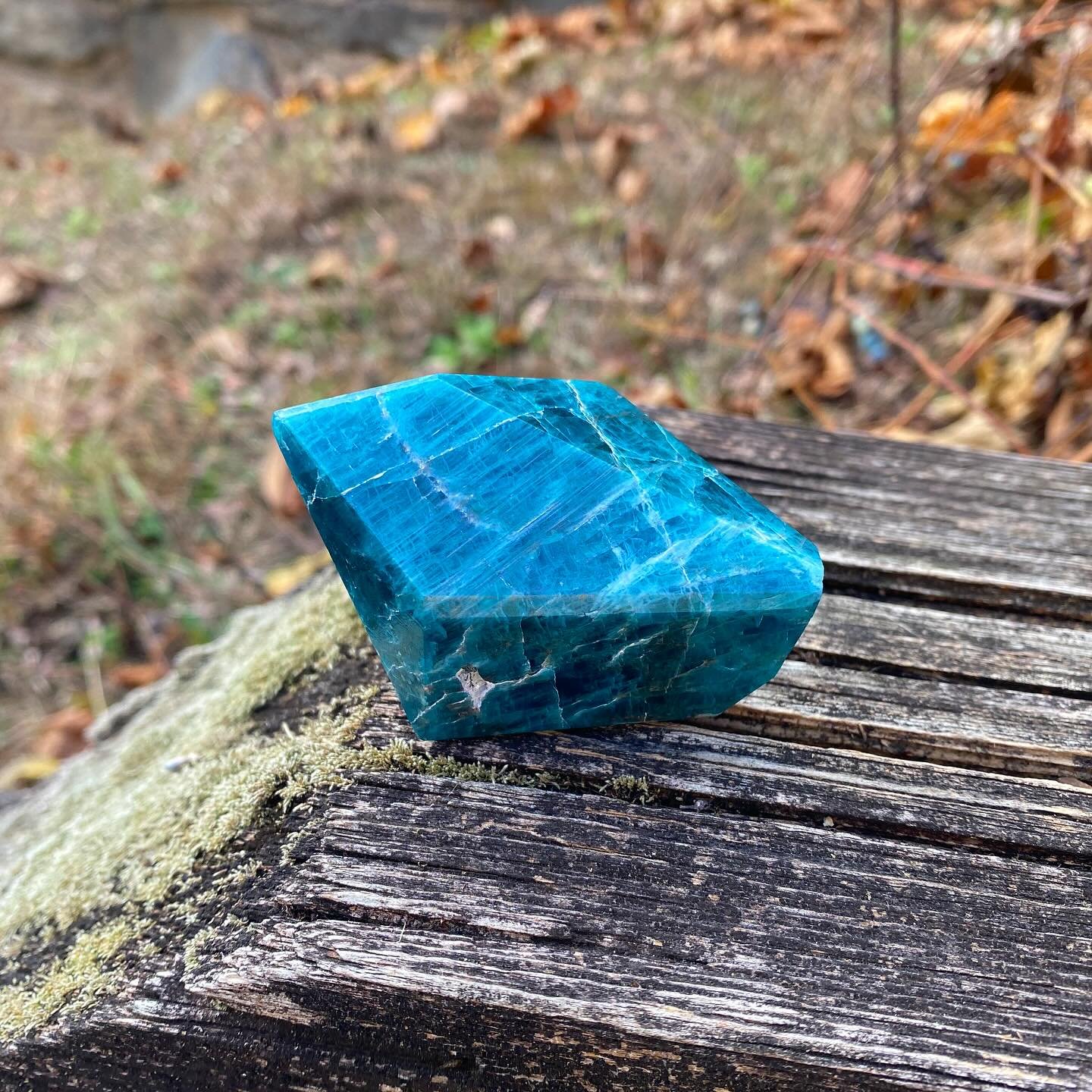 Blue Apatite 🦋✨
Blue apatite gets its name from the Greek word for &ldquo;deceive&rdquo; because it is often mistaken for minerals like topaz or beryl! ✨
&bull;
&bull;
&bull;
&bull;
&bull;
&bull;
&bull;
&bull;
&bull;
&bull;
&bull;
#blueapatite #crys