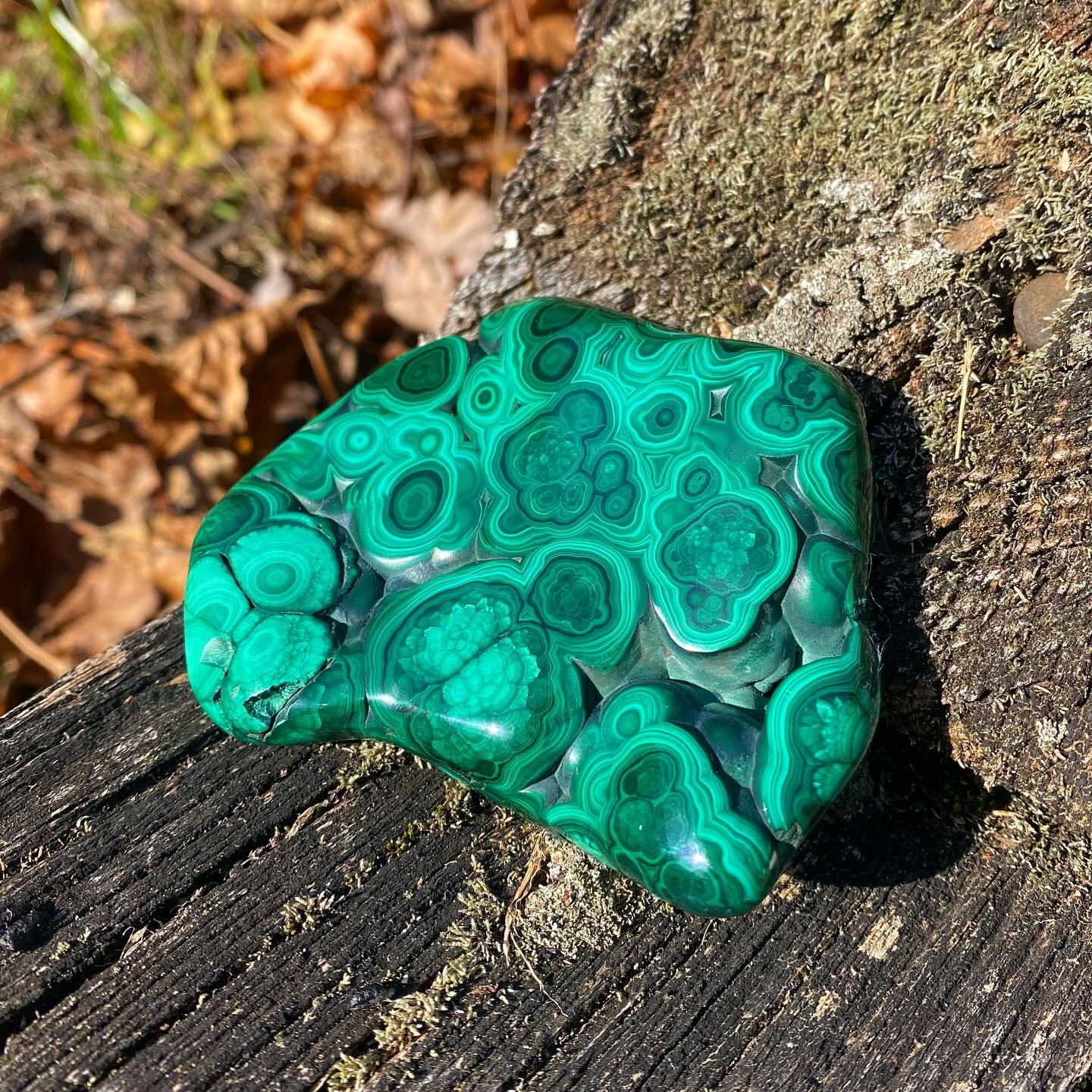 Banded Malachite 🌲✨
Malachite was used in ancient Egypt for jewelry, paints, cosmetics and amulets ✨
&bull;
&bull;
&bull;
&bull;
&bull;
&bull;
&bull;
&bull;
&bull;
&bull;
&bull;
&bull;
&bull;
#malachite #malachitecrystal #crystal #crystalcommunity