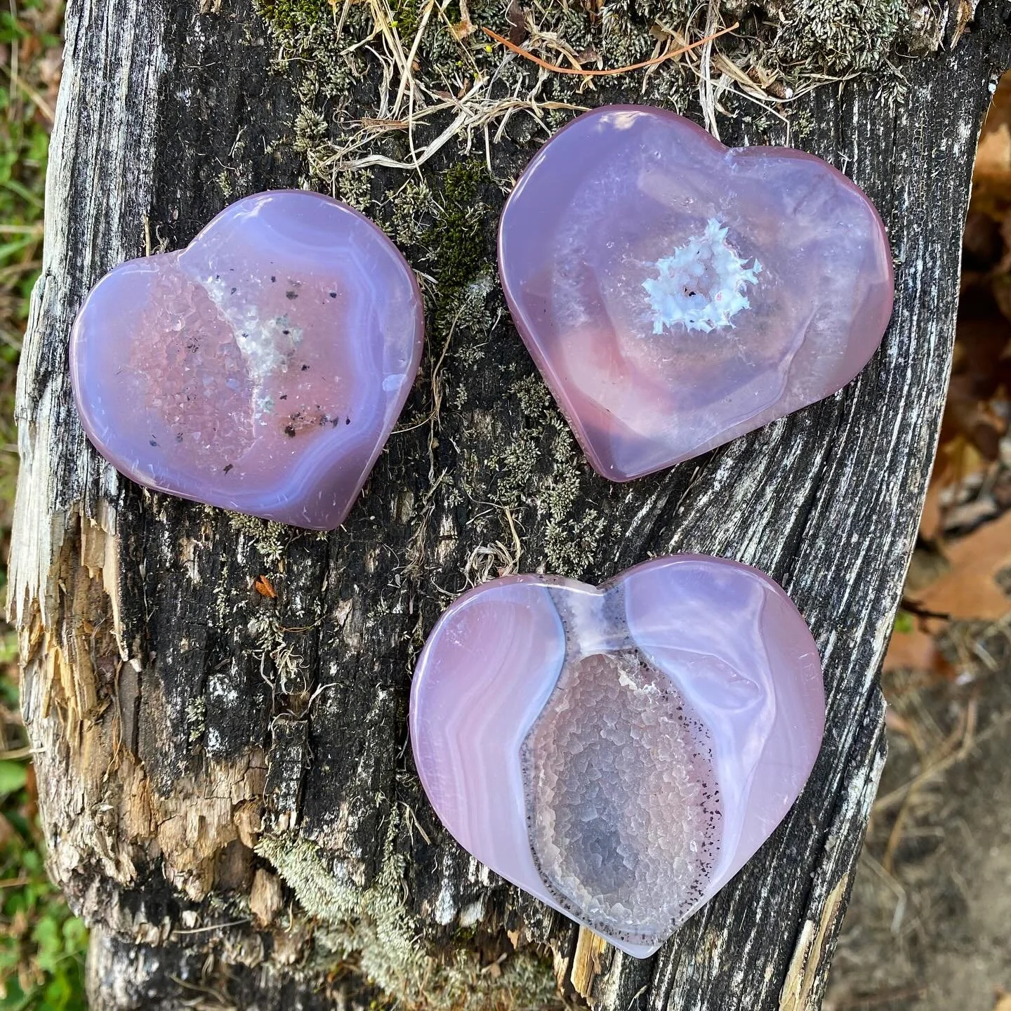Lavender Amethyst 💜🪻✨
Lavender amethyst gets it softer coloring from a lower concentration of iron impurities compared to traditional amethyst pieces! 
&bull;
&bull;
&bull;
&bull;
&bull;
&bull;
&bull;
&bull;
&bull;
&bull;
&bull;
#lavenderamethyst #