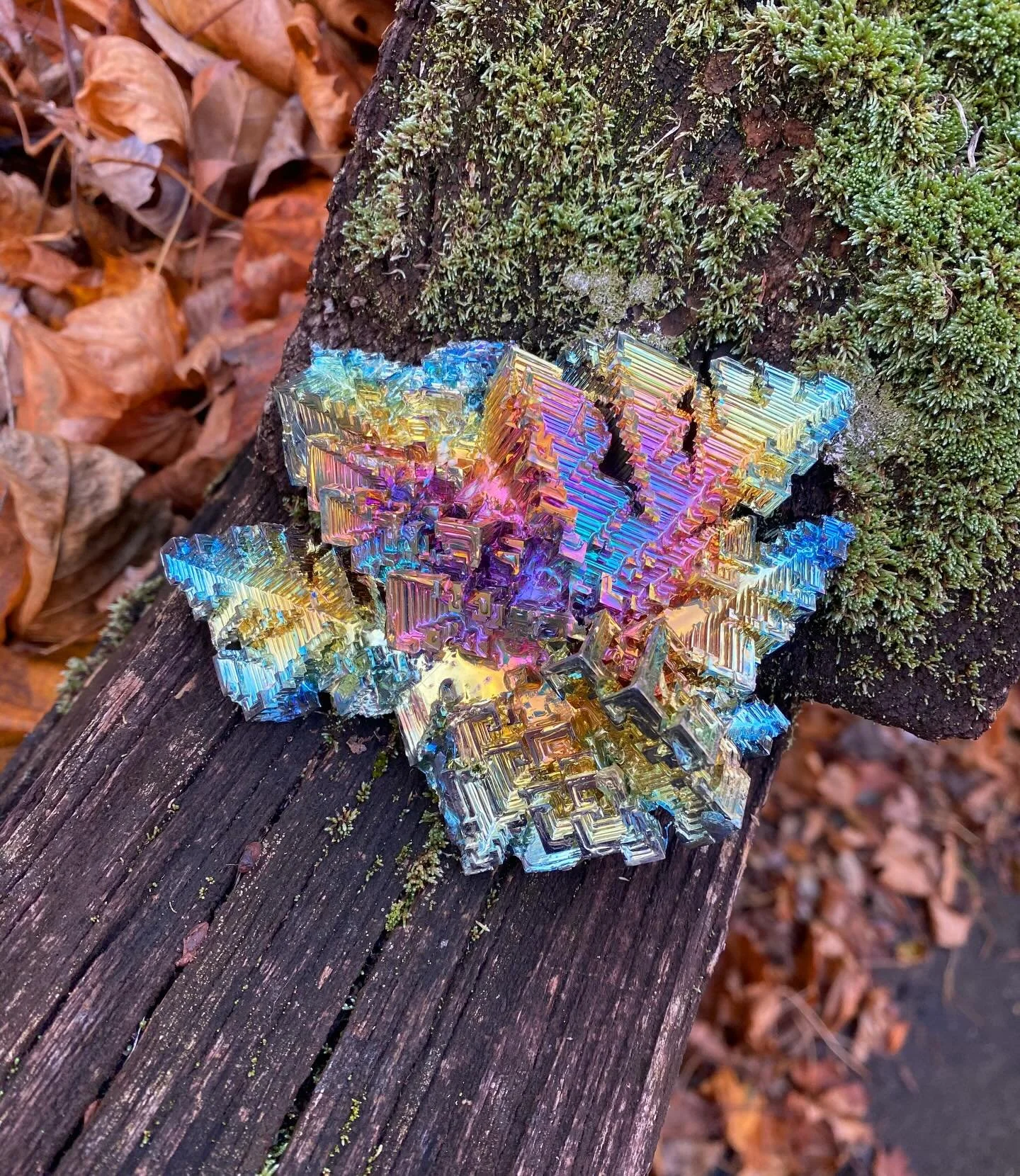 Rainbow Bismuth 🌈✨
Bismuth is an active ingredient in over the counter medications like Pepto-Bismol and Kaopectate for upset stomachs! ✨
&bull;
&bull;
&bull;
&bull;
&bull;
&bull;
&bull;
&bull;
&bull;
&bull;
&bull;
#bismuth #crystal #crystalcommunit