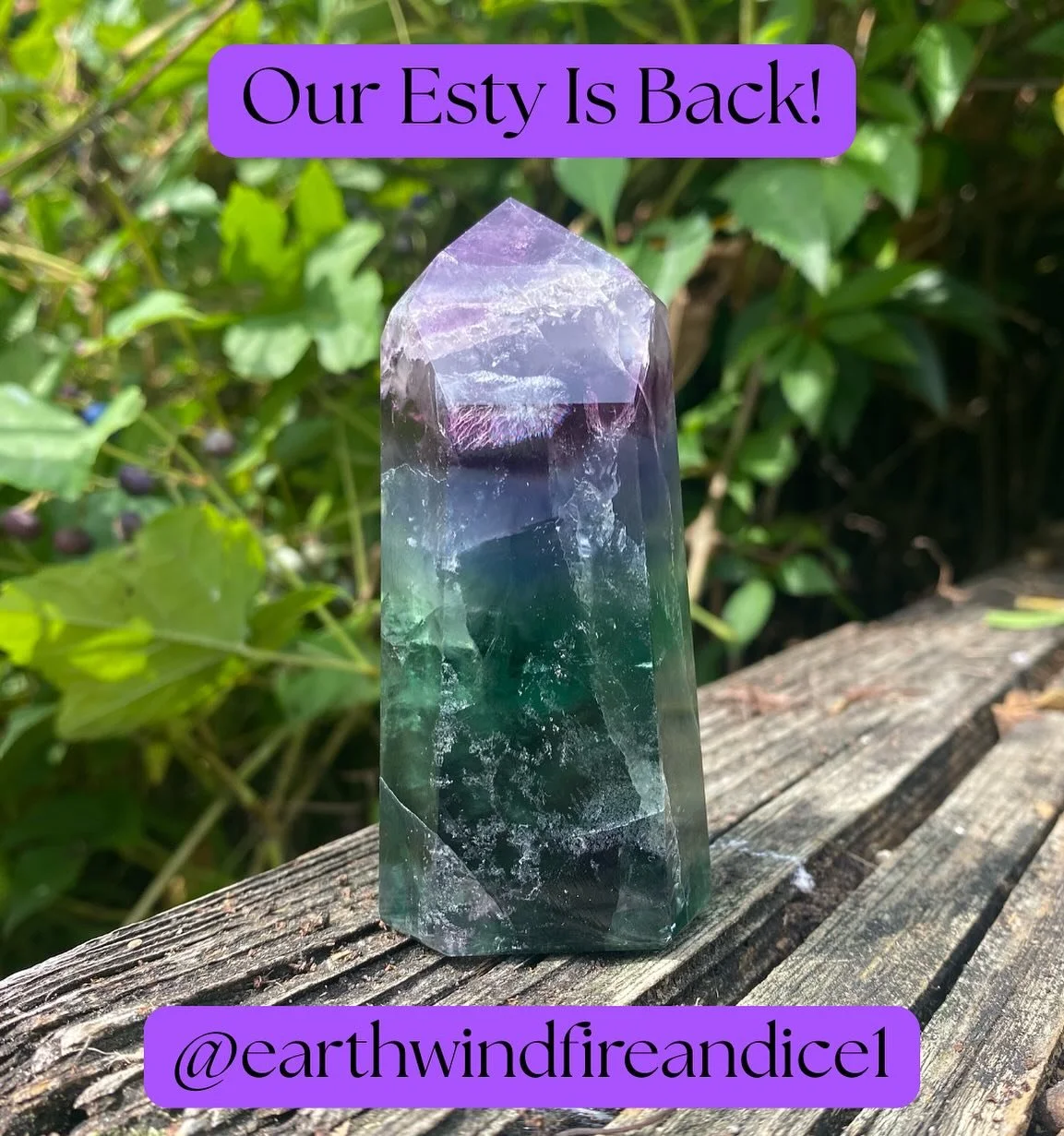 We are excited to announce that our etsy is officially open again! ✨🎉

We will be adding new items consistently so make sure to keep checking back in! Free shipping for any orders over $35.

Find us on etsy ~ earthwindfireandice1.etsy.com

Let us kn