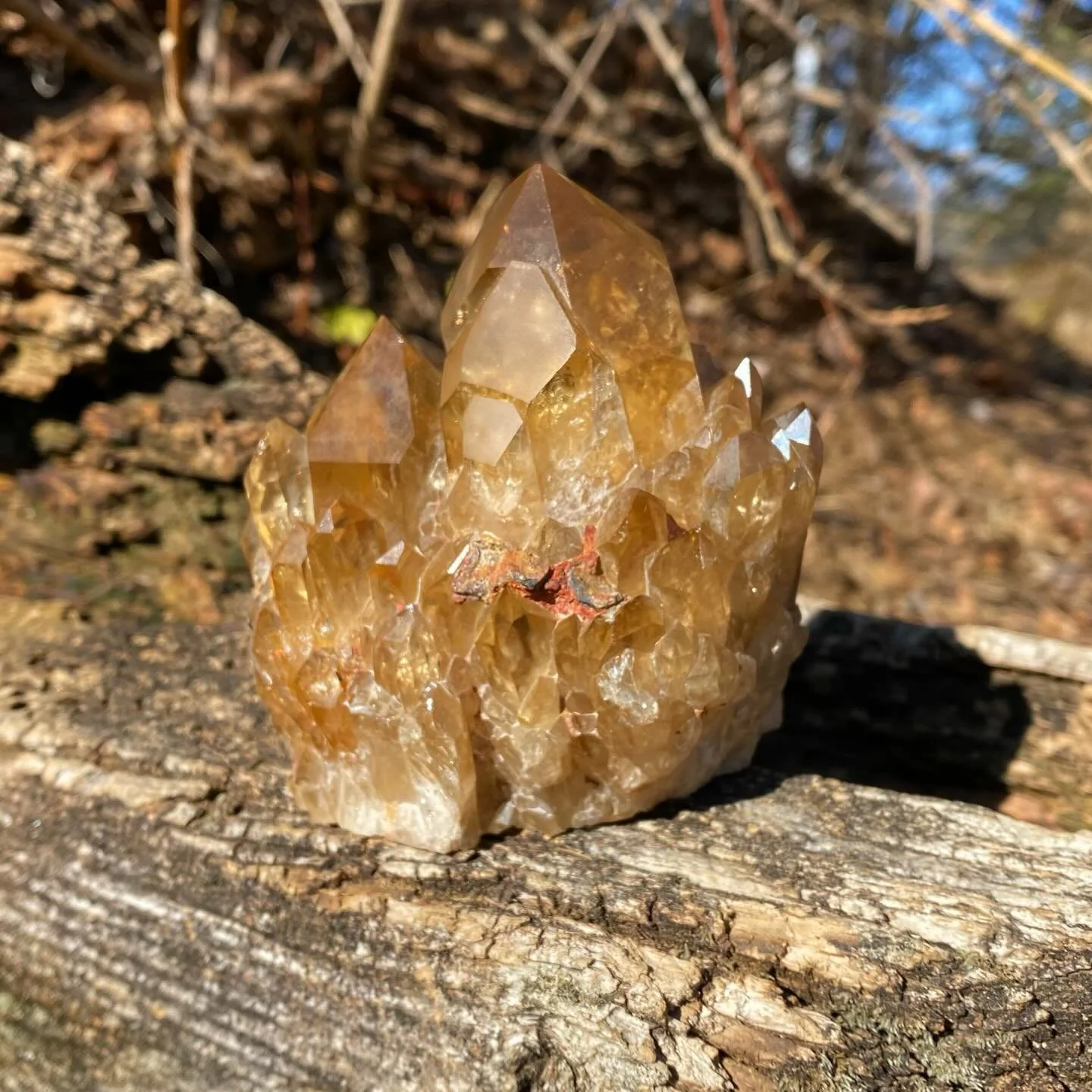 Natural Citrine 🍊✨
Citrines name stems from the old French word &ldquo;citrin&rdquo; which means lemon! 🍋 ✨
&bull;
&bull;
&bull;
&bull;
&bull;
&bull;
&bull;
&bull;
&bull;
&bull;
&bull;
&bull;
&bull;
&bull;
&bull;
&bull;
#citrine #crystals #crystalc