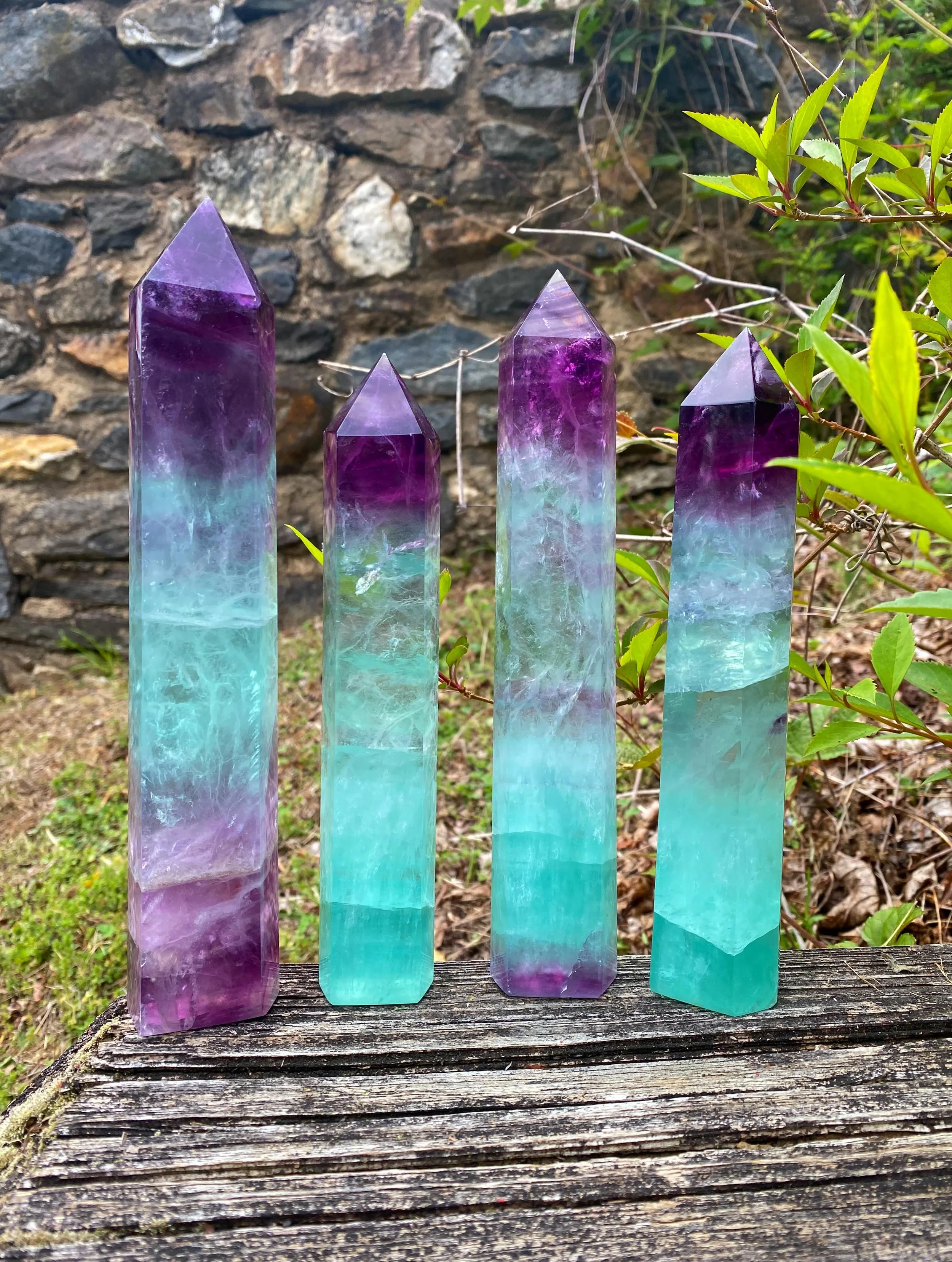 ✨ New collection alert!! ✨
We are very excited to share that we have some very stunning new arrivals coming to our shelves! Ranging from store favorites to unusual and unique pieces, there is something for everyone. This is only a small glimpse of wh