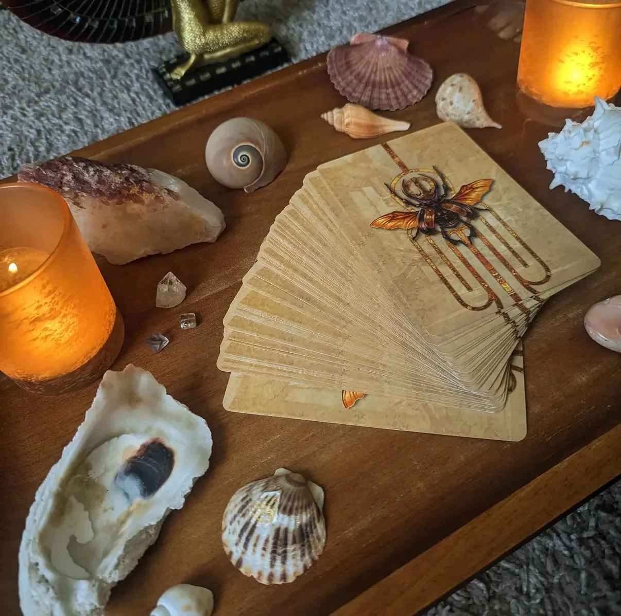 Oracle and Aura Readings With Jorge  