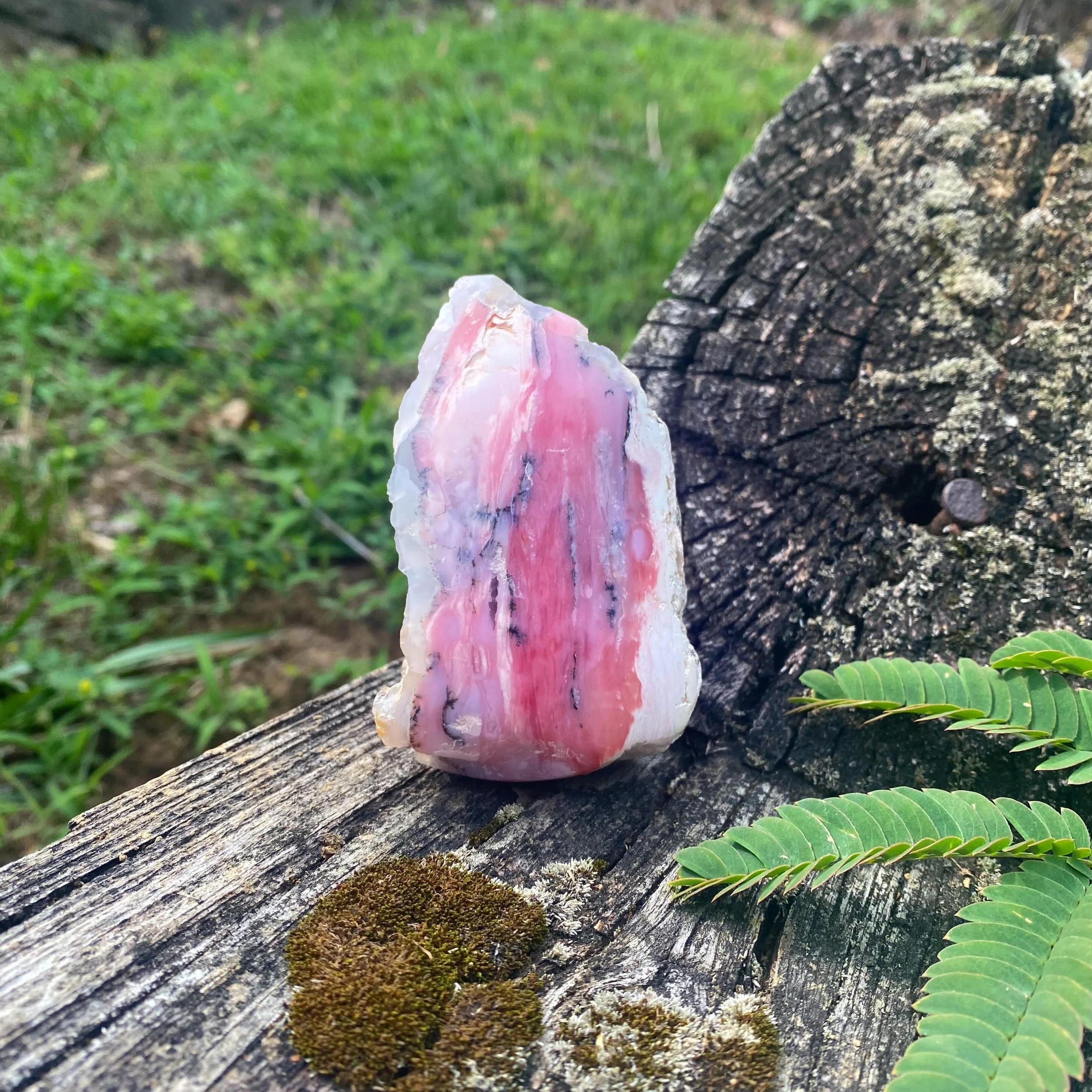 Peruvian Pink Opal ✨🩷 
Pink opals color is based off of where it&rsquo;s mined. Peruvian and Mexican opal gets its pink hues from trace amounts of quinones,  which is organic plant compounds. American and Australian pink opals get their colors from 